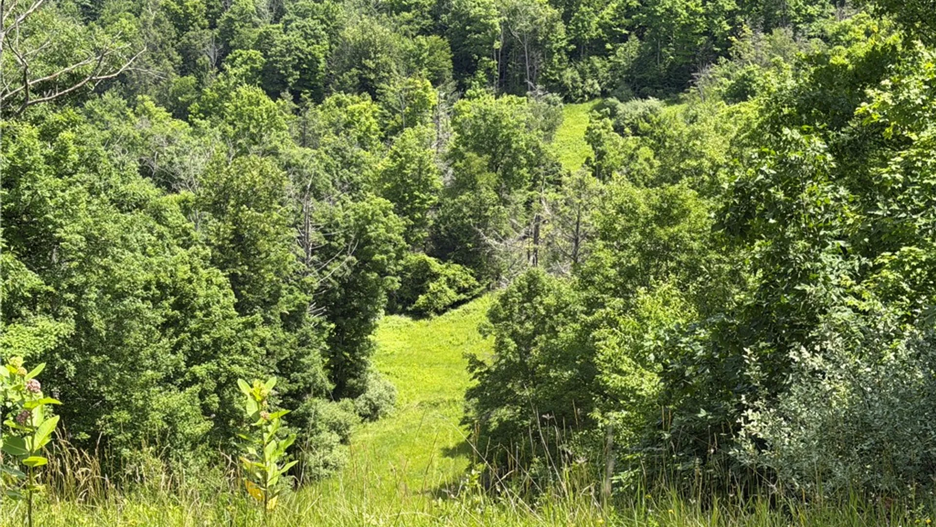 Property at VL Catatunk Road, Canisteo, NY 14823 29