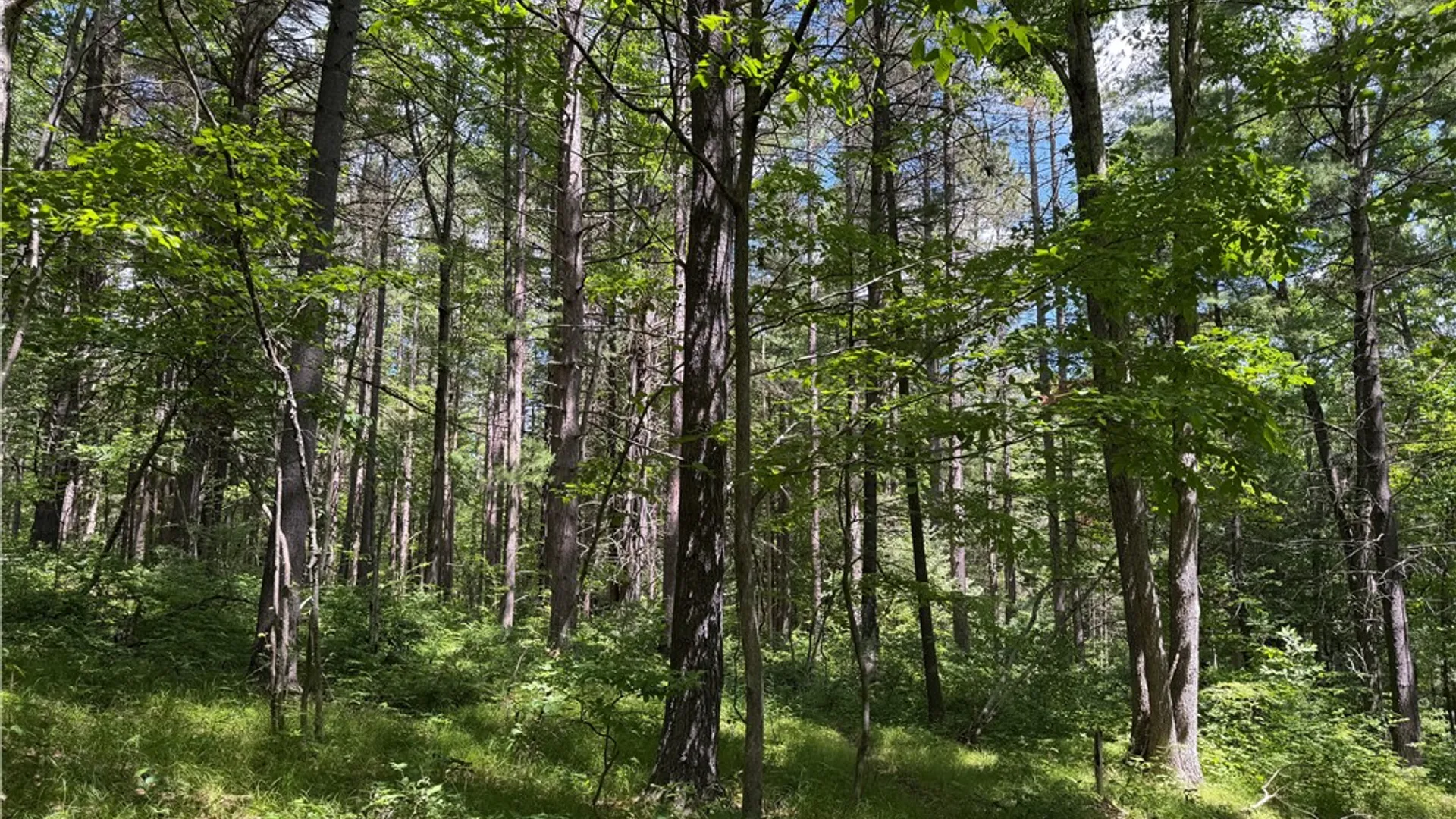 Property at VL Catatunk Road, Canisteo, NY 14823 30