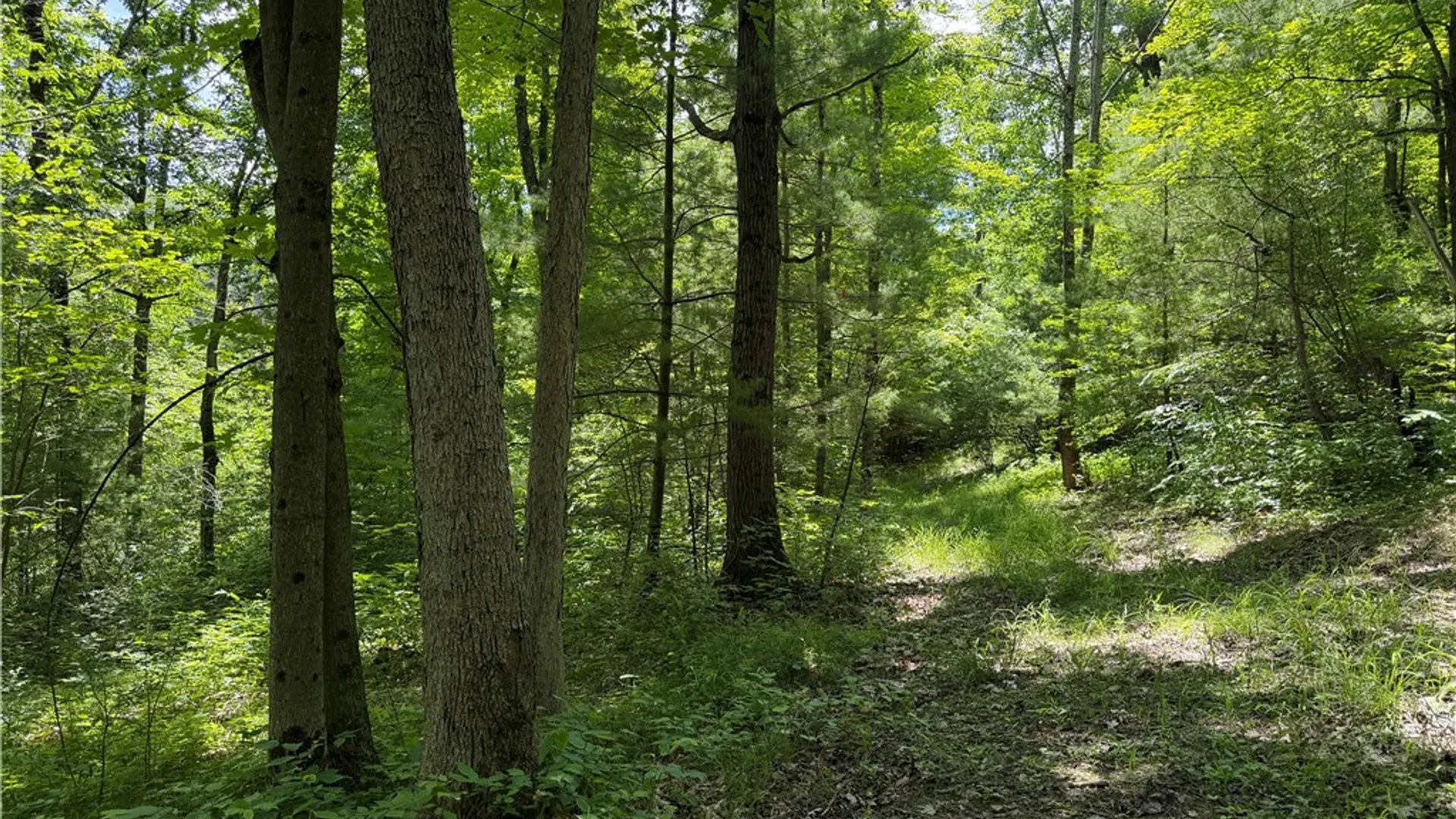 Property at VL Catatunk Road, Canisteo, NY 14823 31