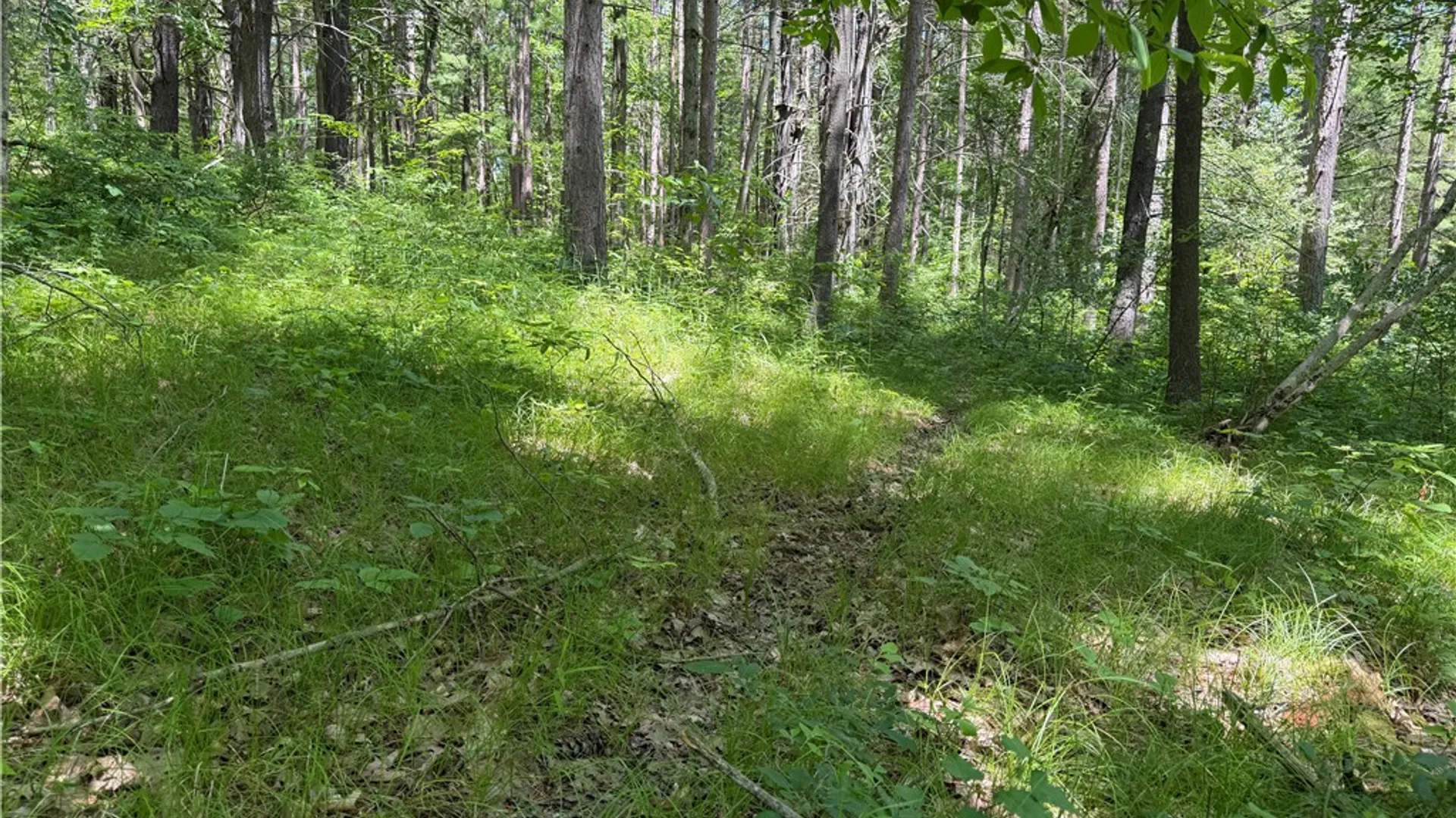 Property at VL Catatunk Road, Canisteo, NY 14823 32