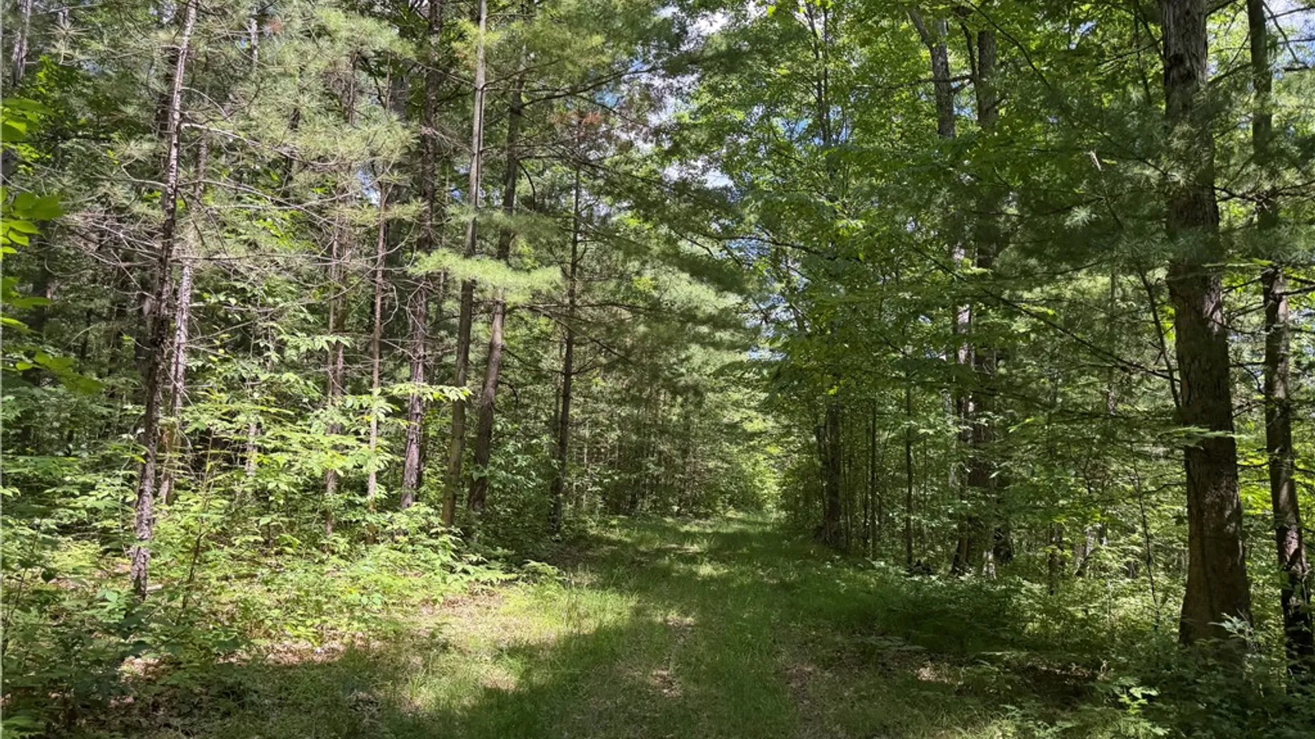 Property at VL Catatunk Road, Canisteo, NY 14823 33