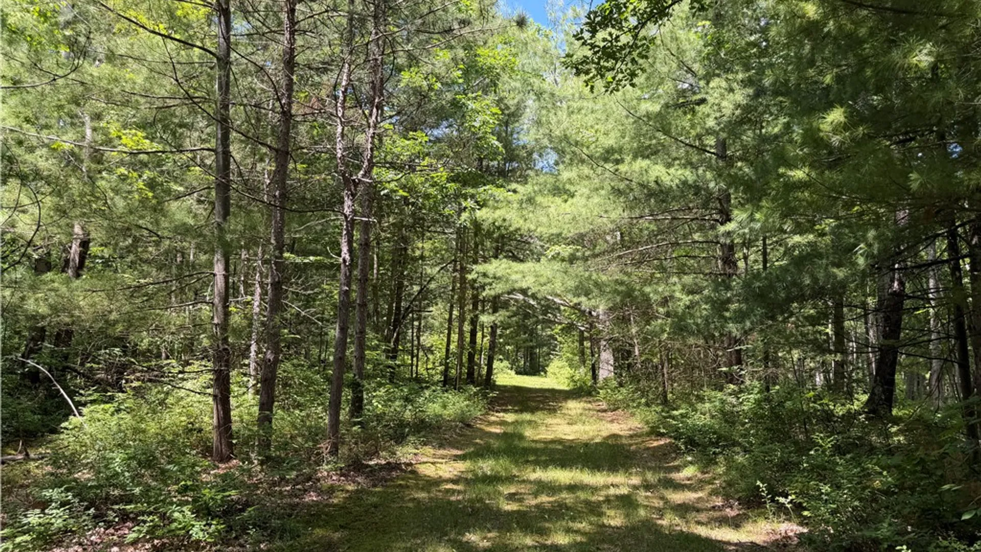 Property at VL Catatunk Road, Canisteo, NY 14823 34