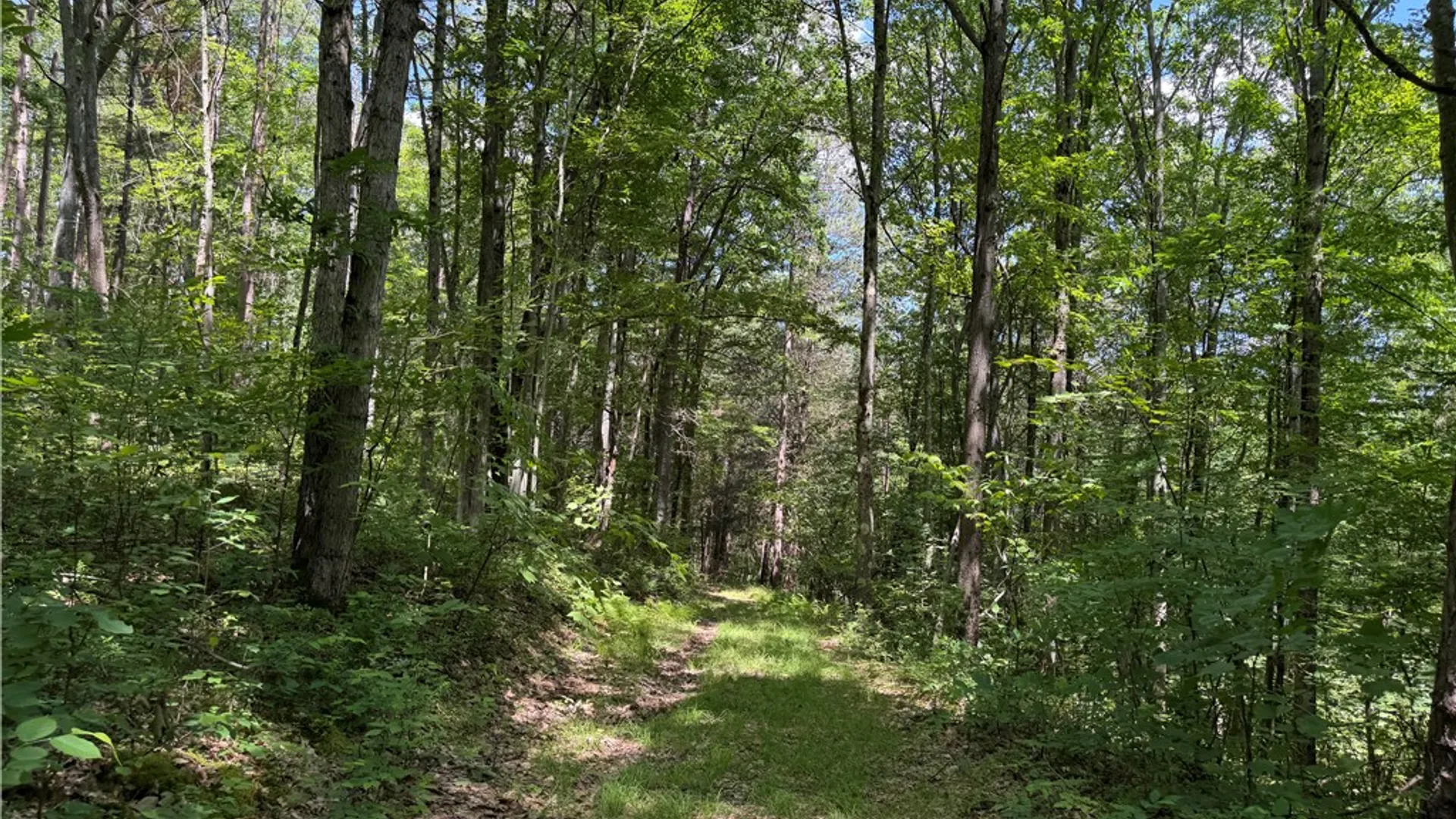 Property at VL Catatunk Road, Canisteo, NY 14823 36
