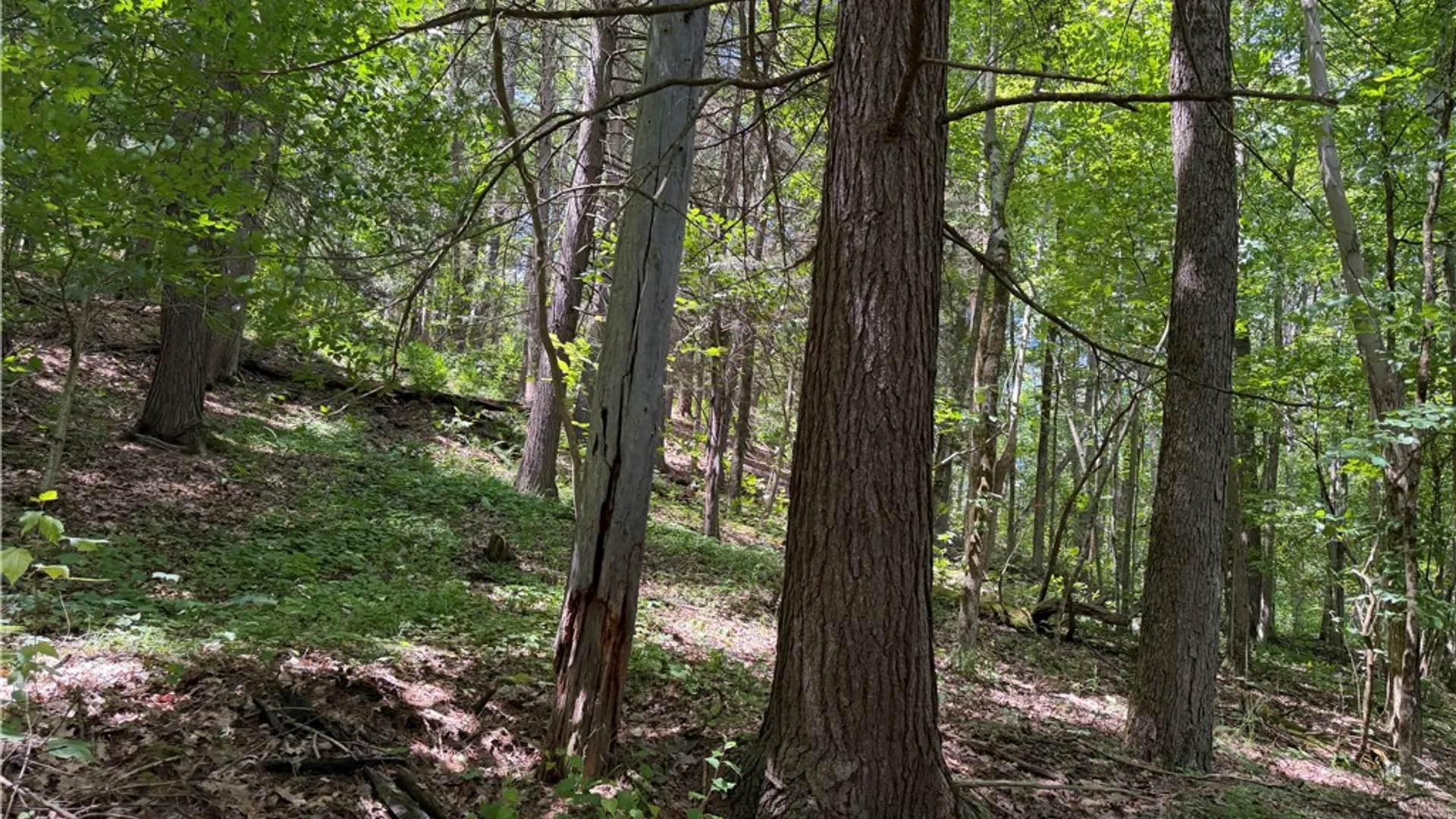 Property at VL Catatunk Road, Canisteo, NY 14823 37