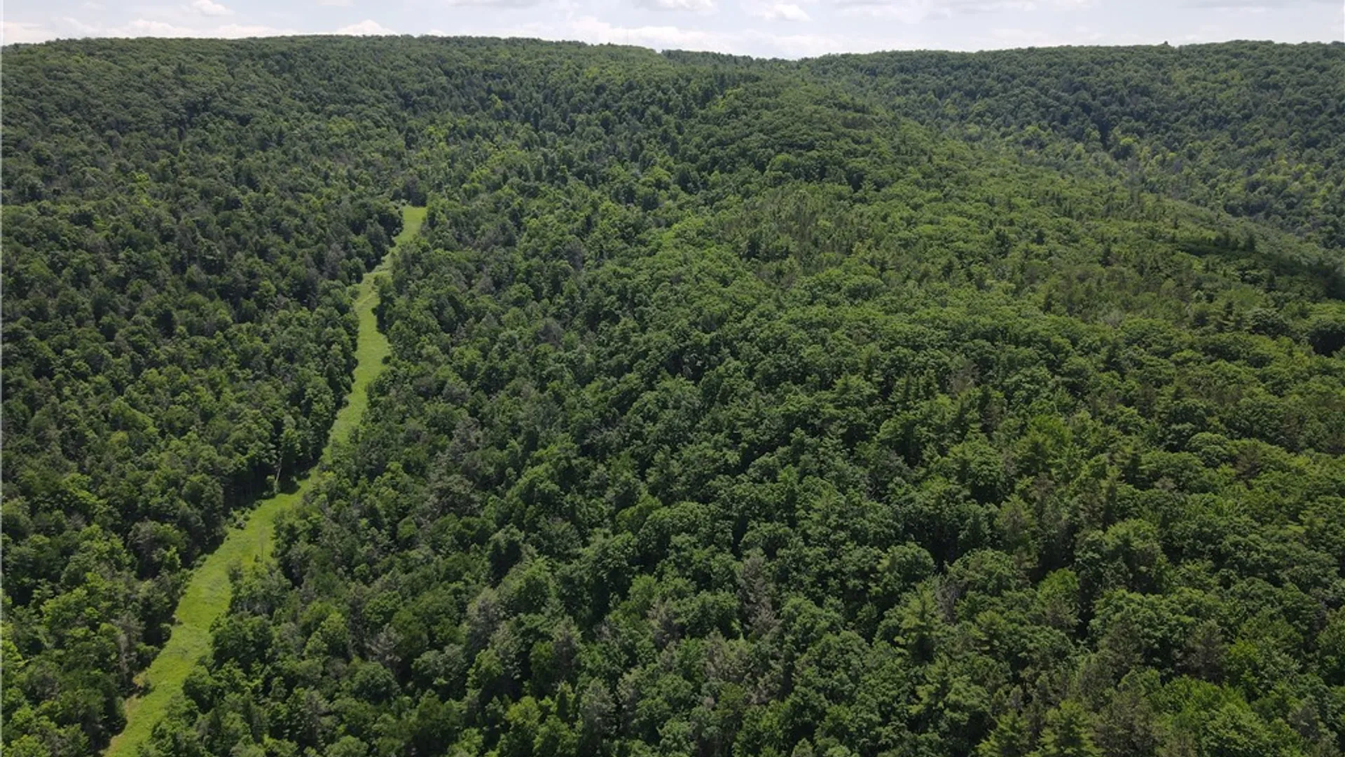 Property at VL Catatunk Road, Canisteo, NY 14823 12