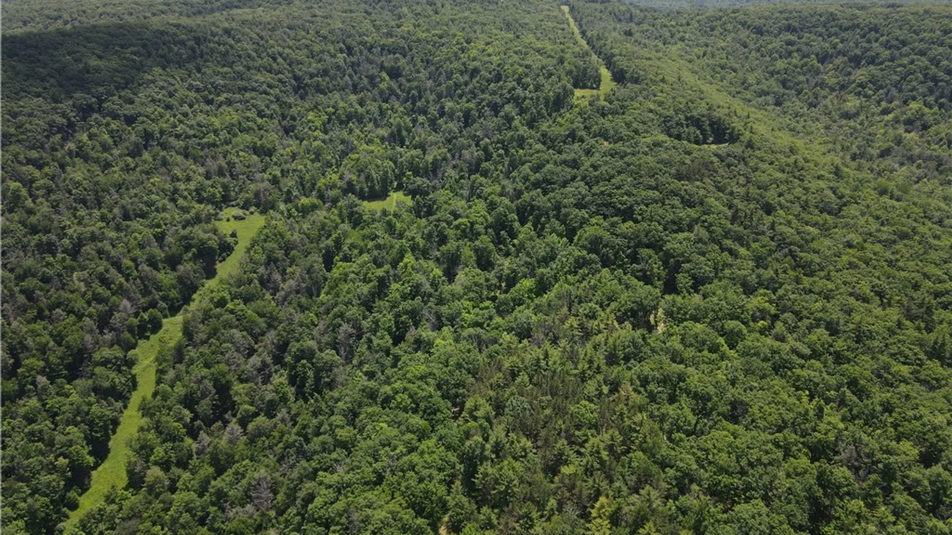 Property at VL Catatunk Road, Canisteo, NY 14823 13