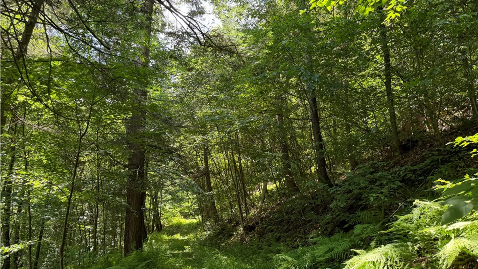 Property at VL Catatunk Road, Canisteo, NY 14823 14