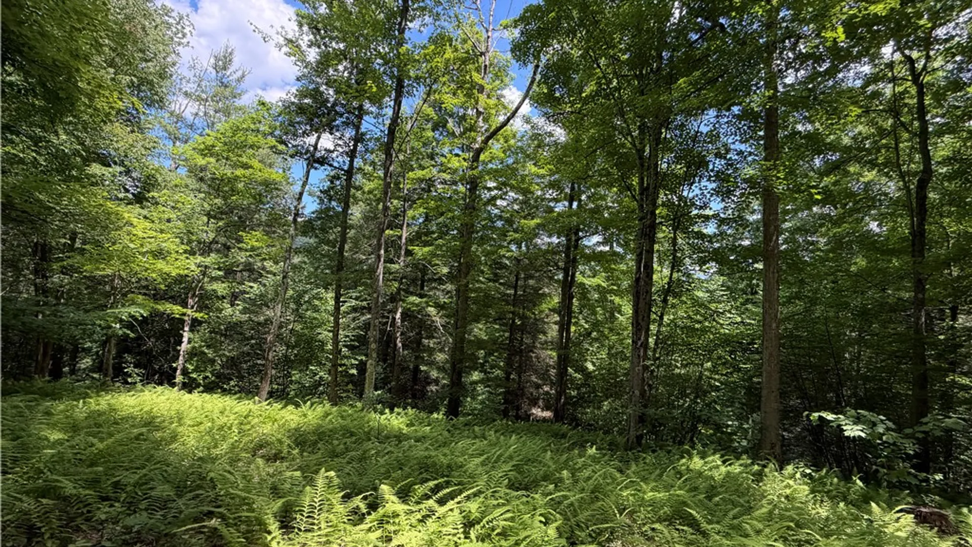 Property at VL Catatunk Road, Canisteo, NY 14823 15