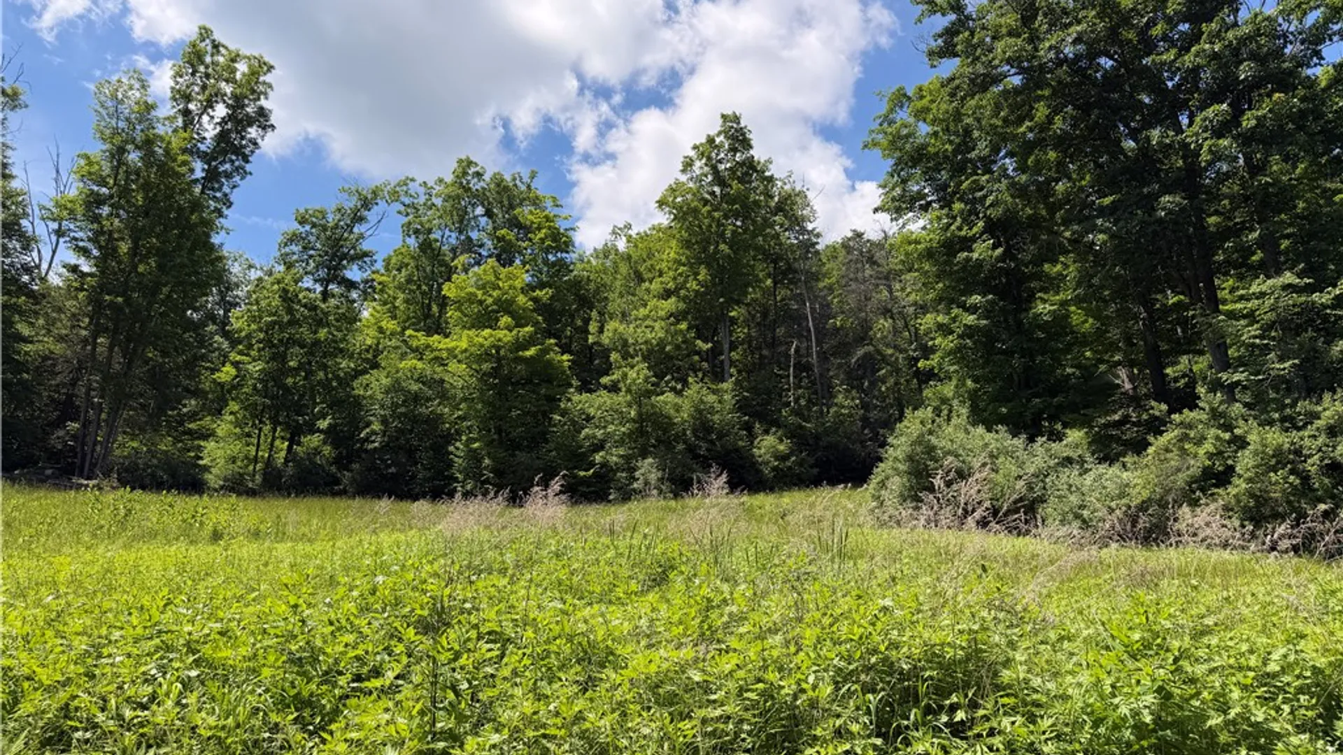 Property at VL Catatunk Road, Canisteo, NY 14823 18