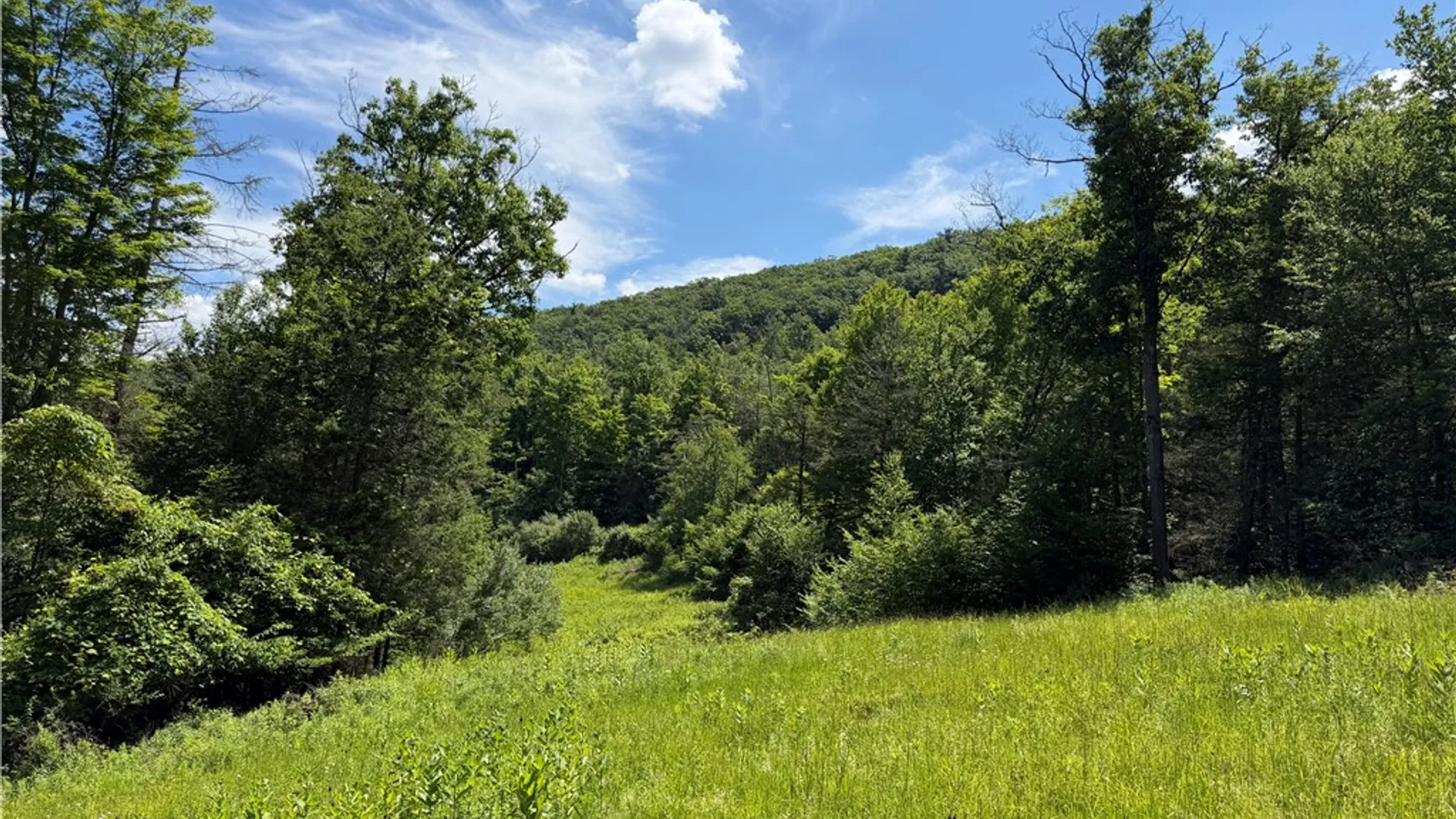 Property at VL Catatunk Road, Canisteo, NY 14823 19