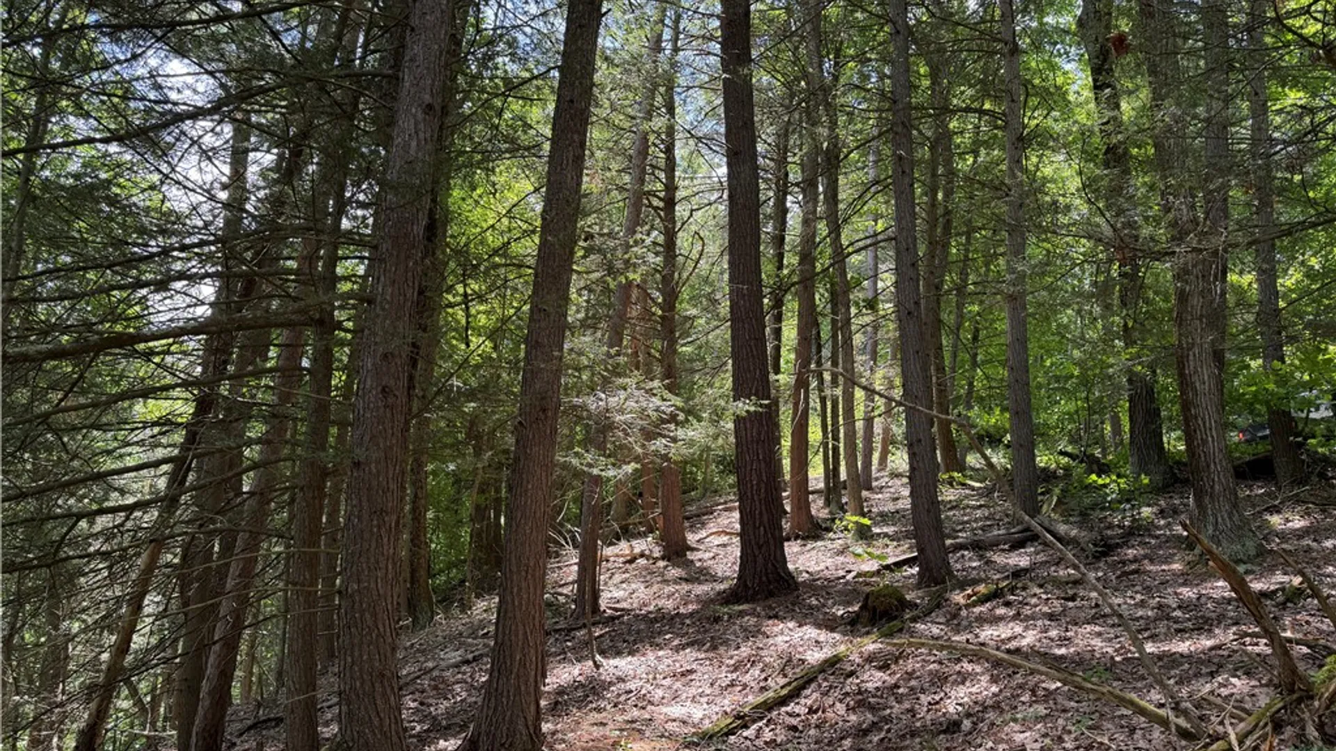Property at VL Catatunk Road, Canisteo, NY 14823 39