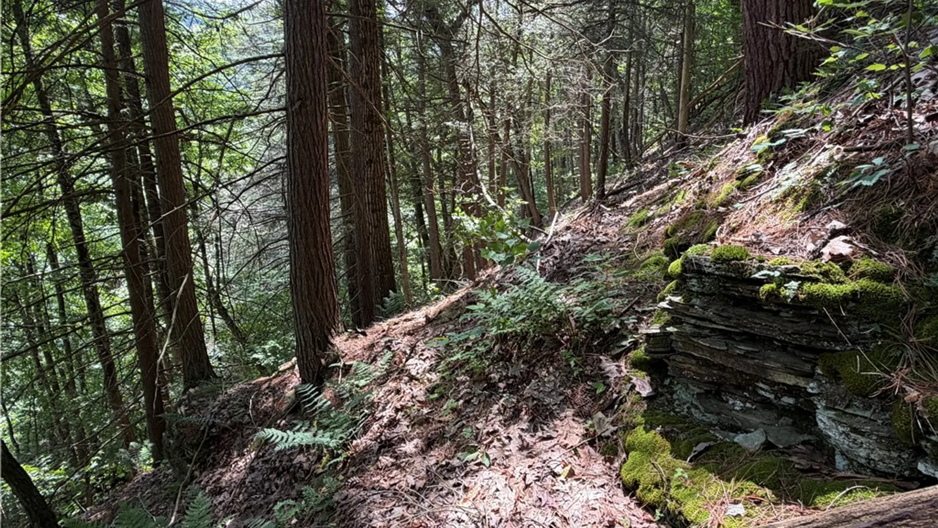 Property at VL Catatunk Road, Canisteo, NY 14823 40