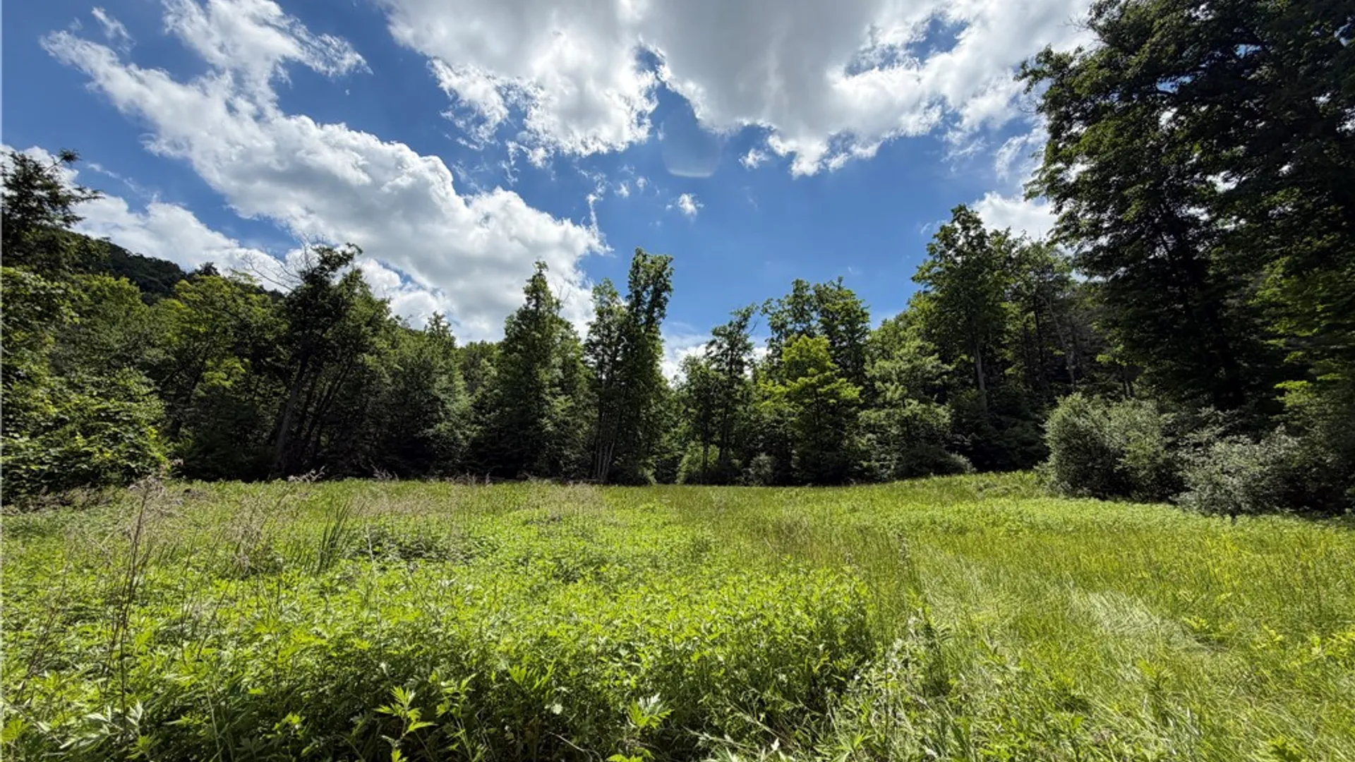 Property at VL Catatunk Road, Canisteo, NY 14823 4