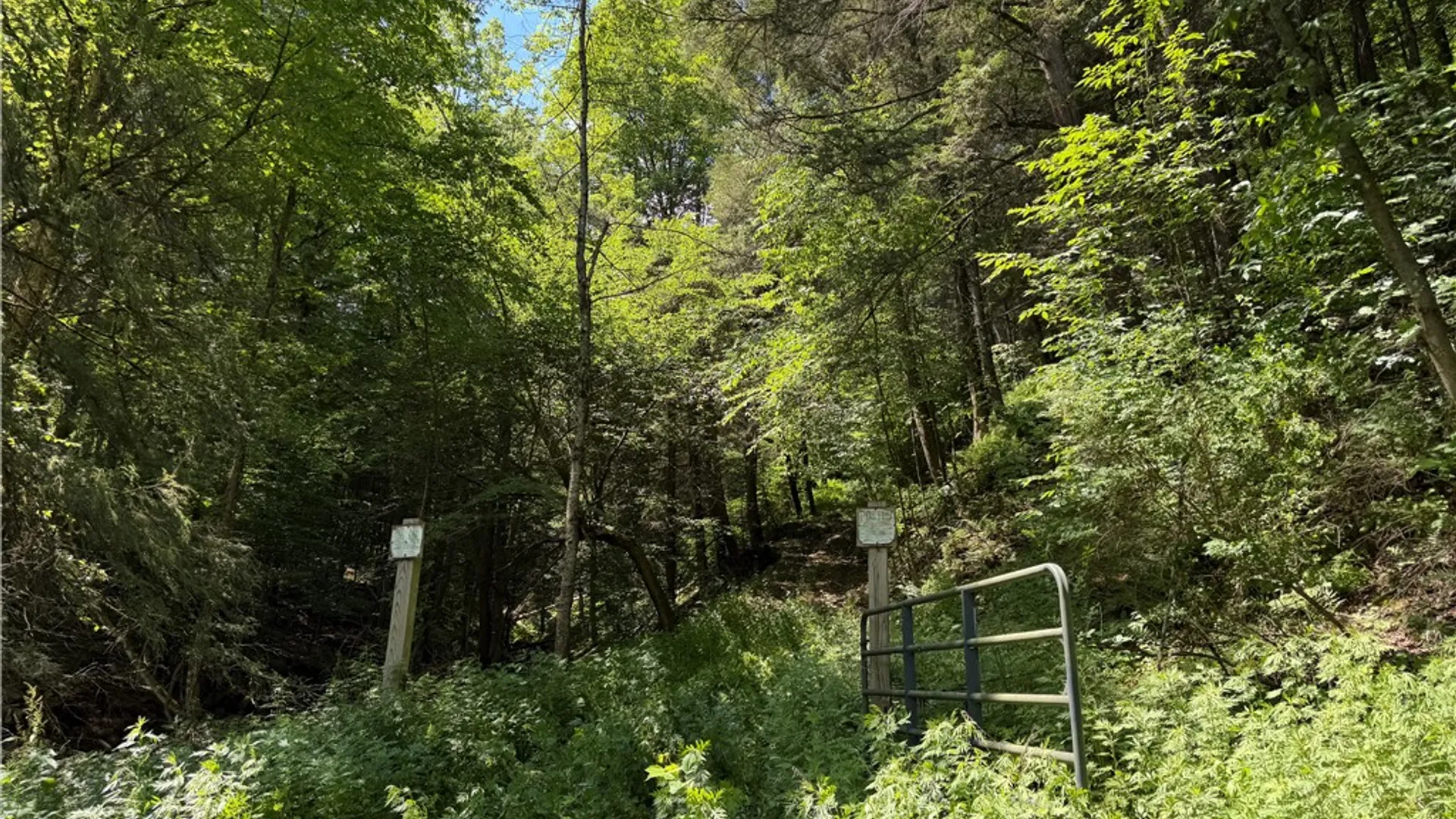 Property at VL Catatunk Road, Canisteo, NY 14823 10