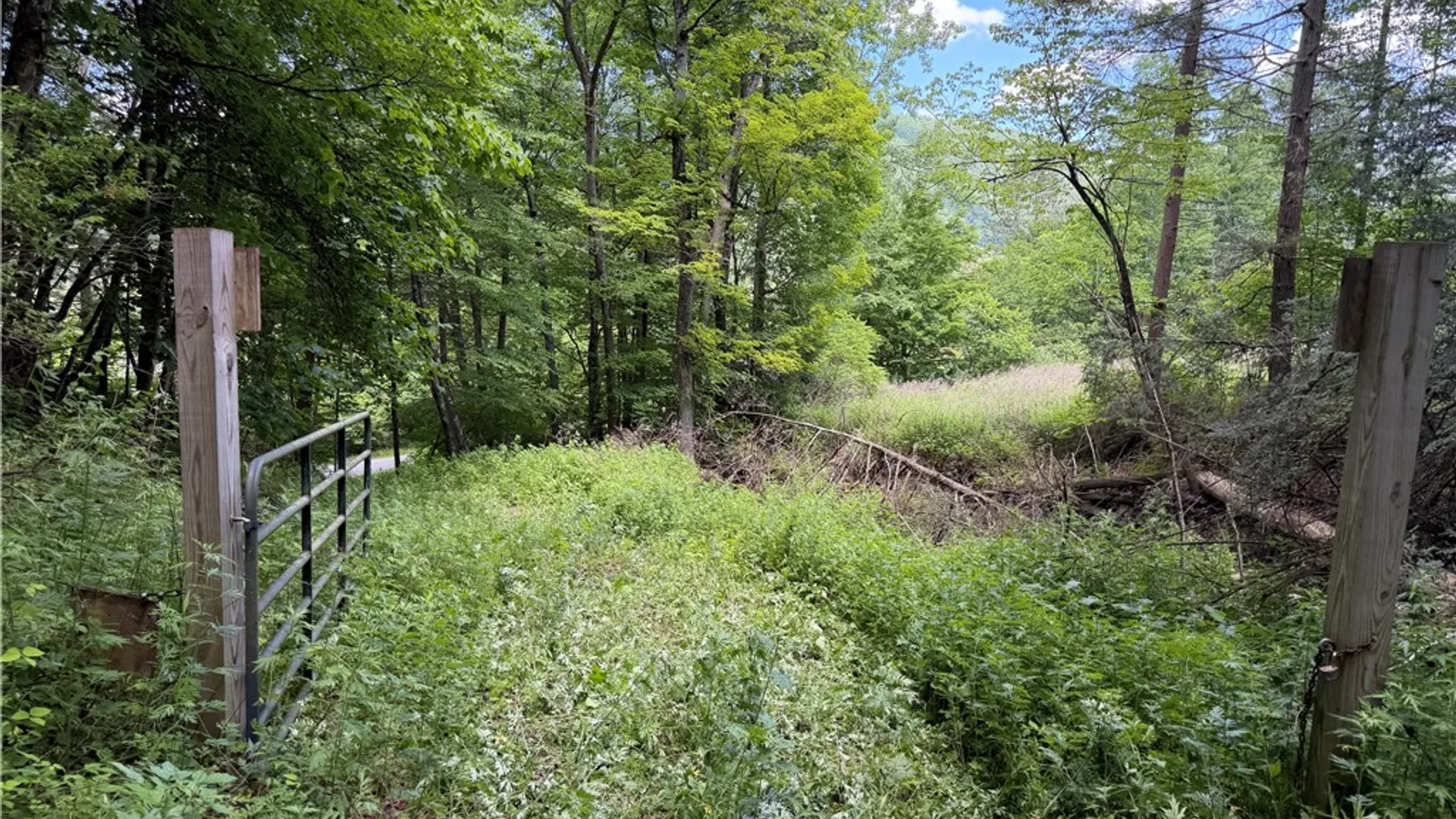 Property at VL Catatunk Road, Canisteo, NY 14823 11