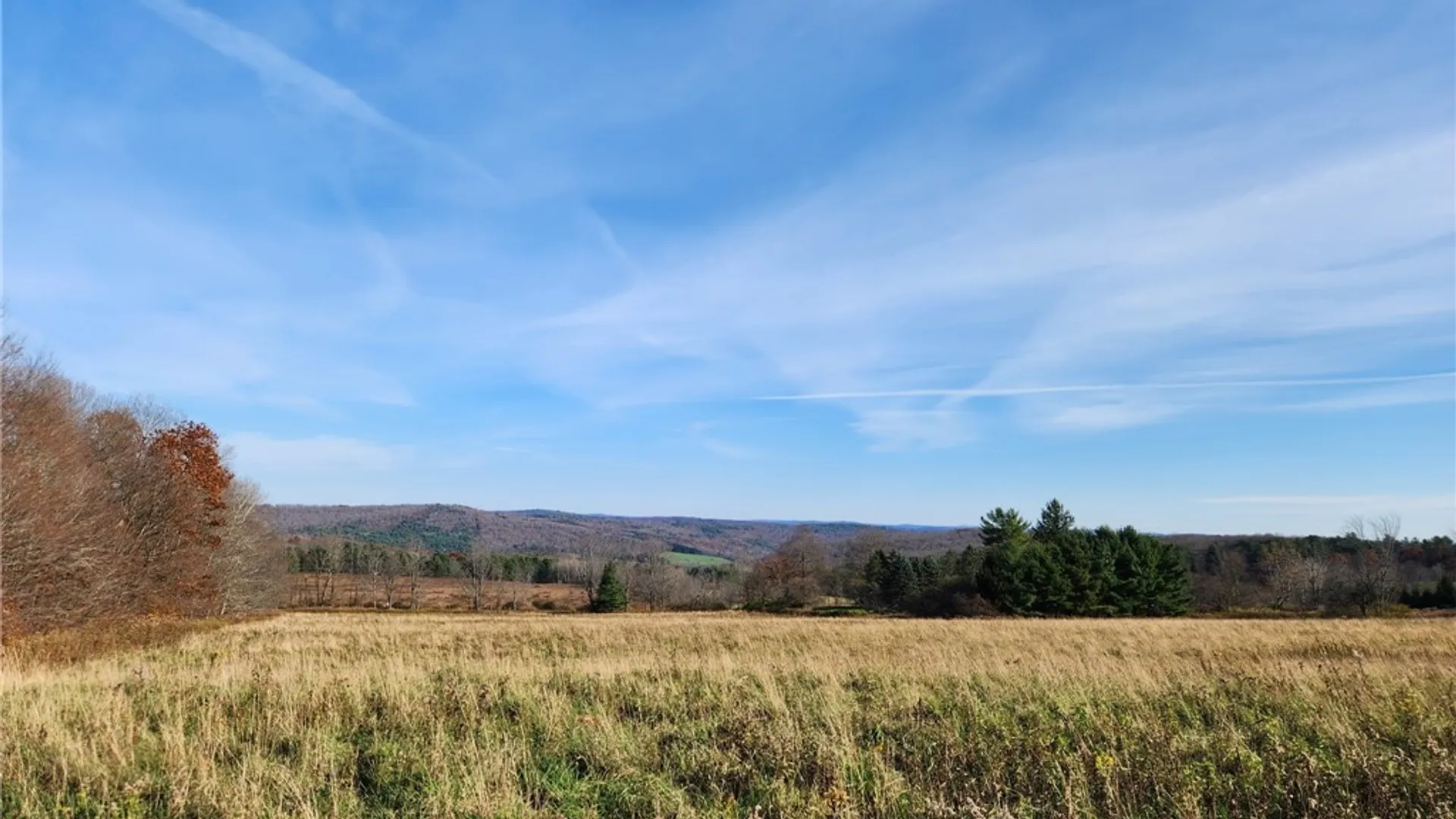 Property at Wilbur Hill Road, Butternuts, NY 13776 7