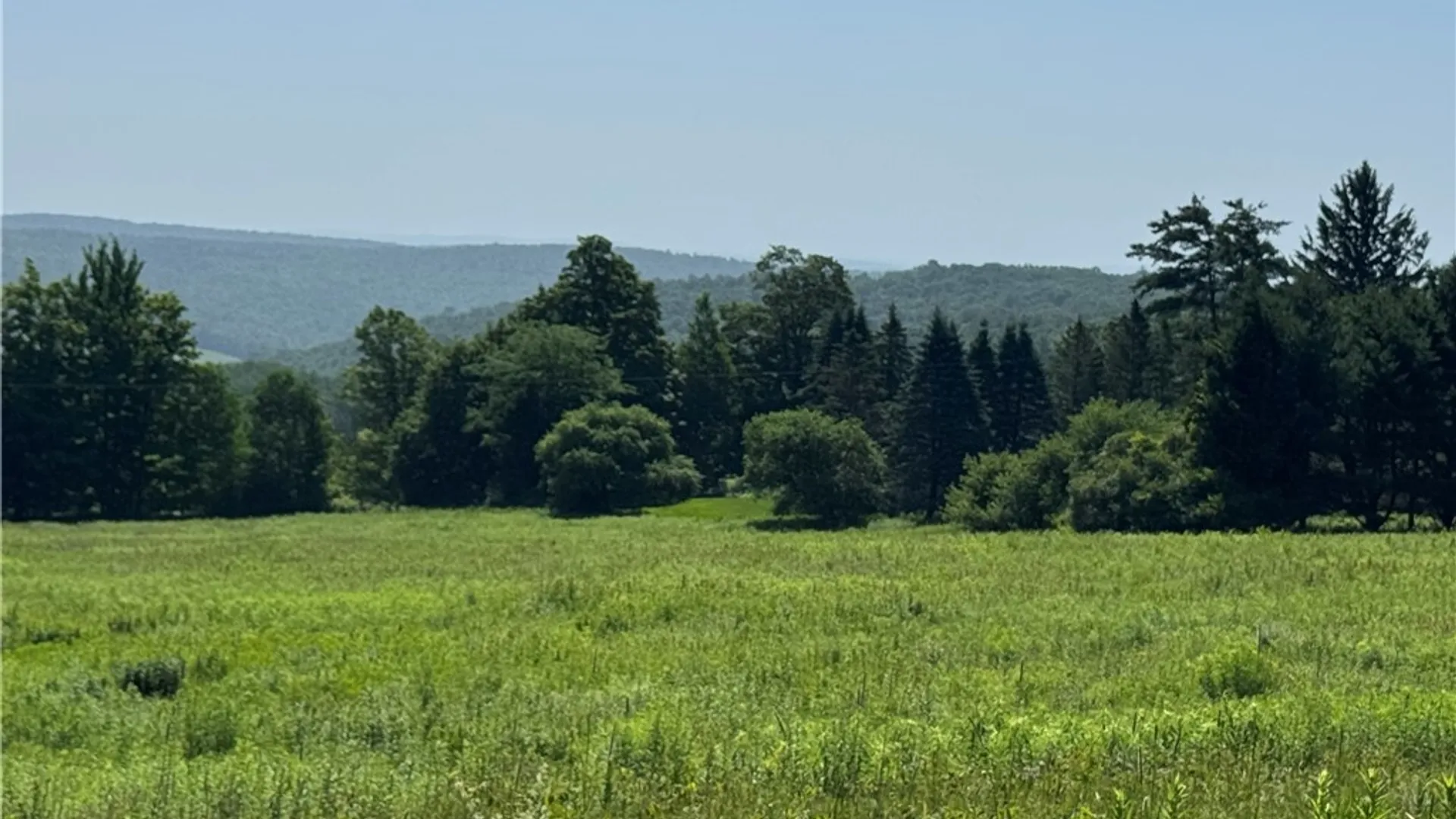 Property at Wilbur Hill Road, Butternuts, NY 13776 3