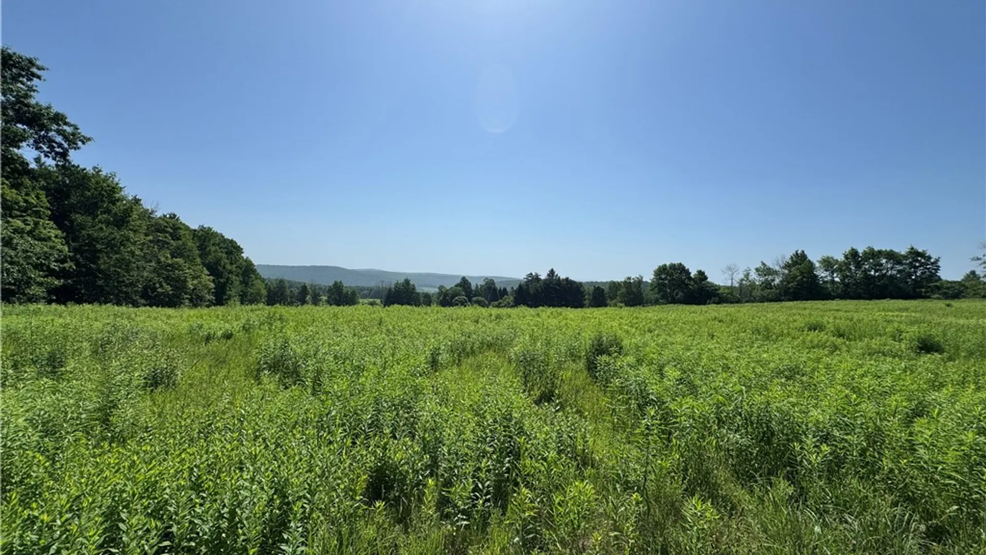 Property at Wilbur Hill Road, Butternuts, NY 13776 9