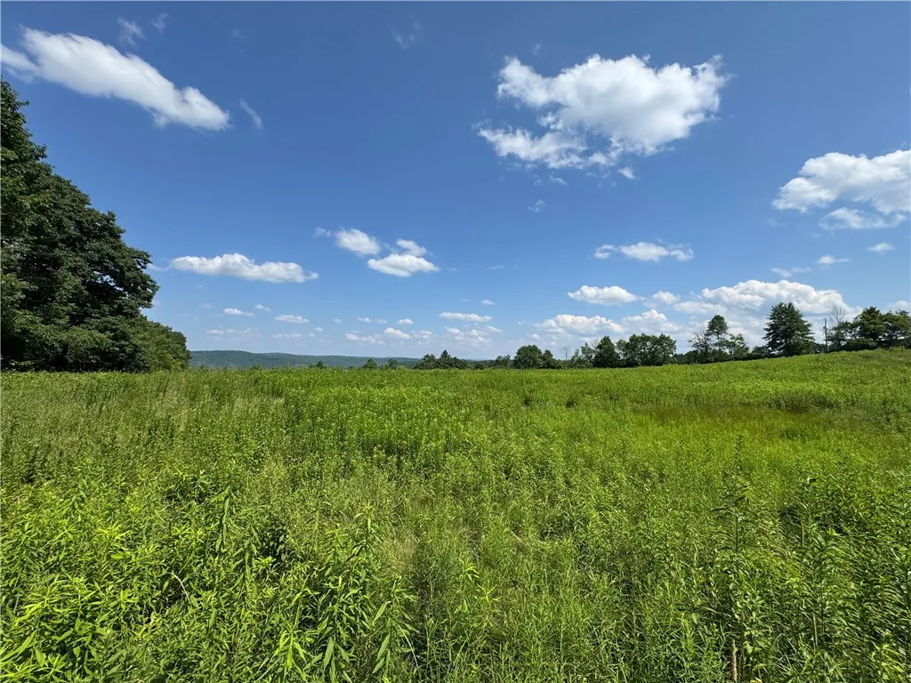 Property at Wilbur Hill Road, Butternuts, NY 13776