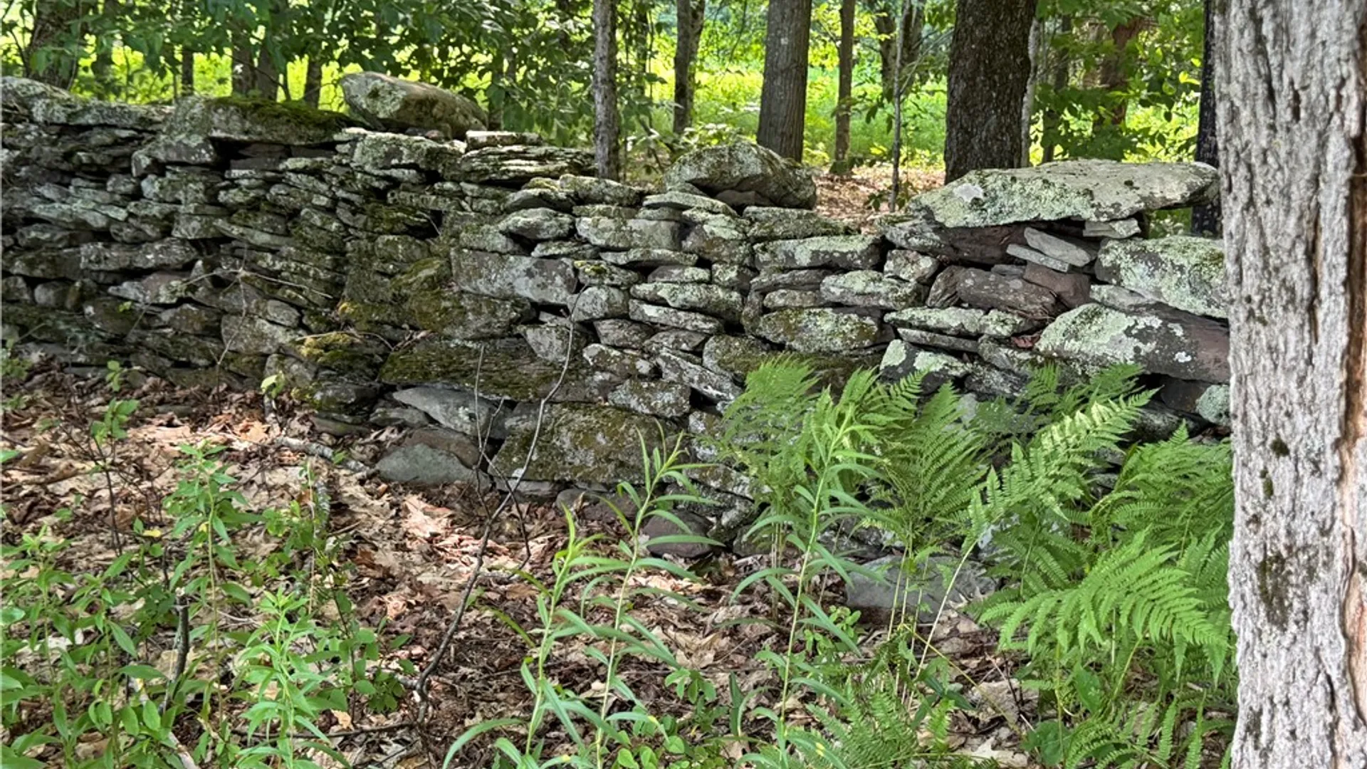 Property at Wilbur Hill Road, Butternuts, NY 13776 5