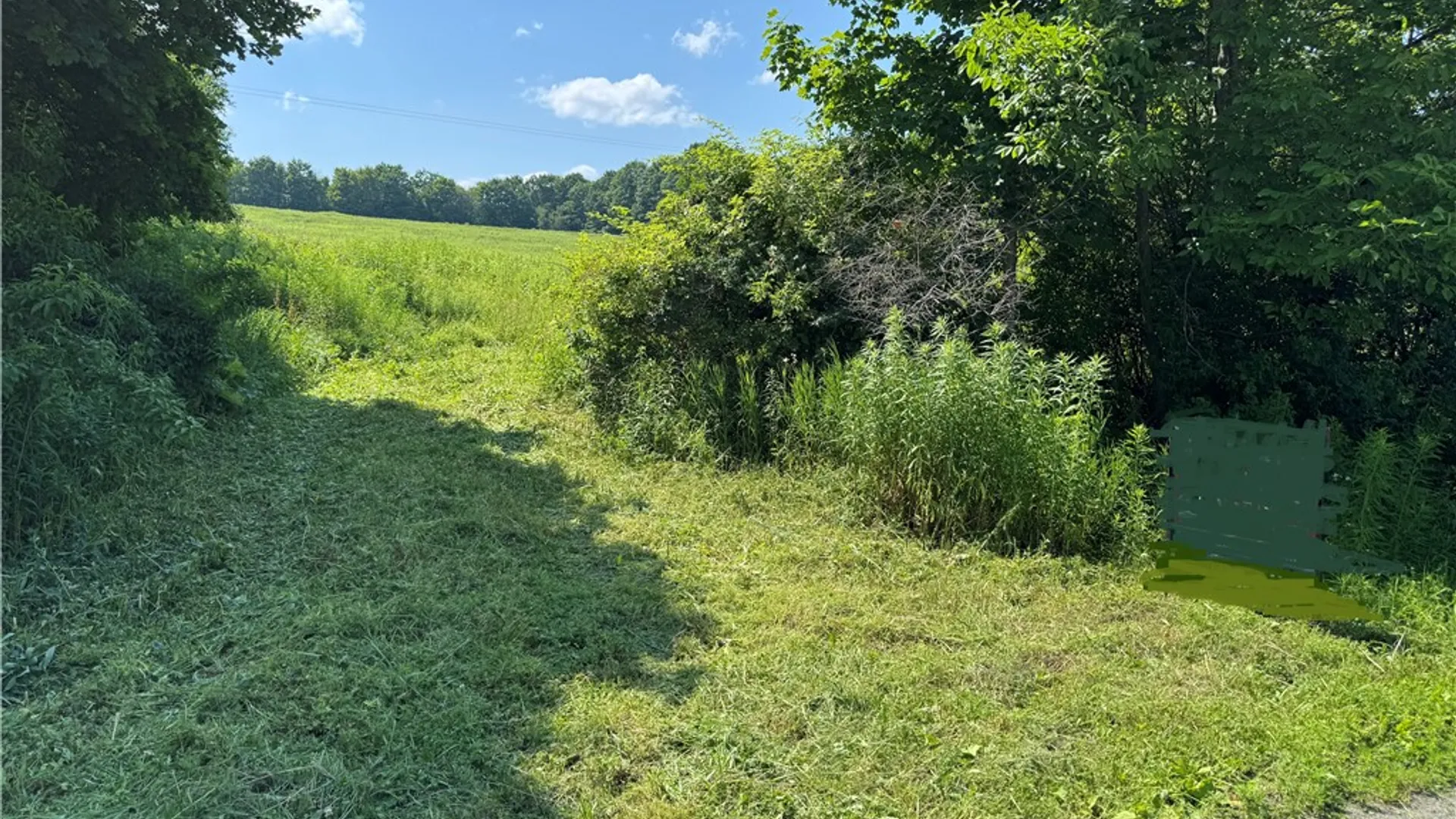 Property at Wilbur Hill Road, Butternuts, NY 13776 4