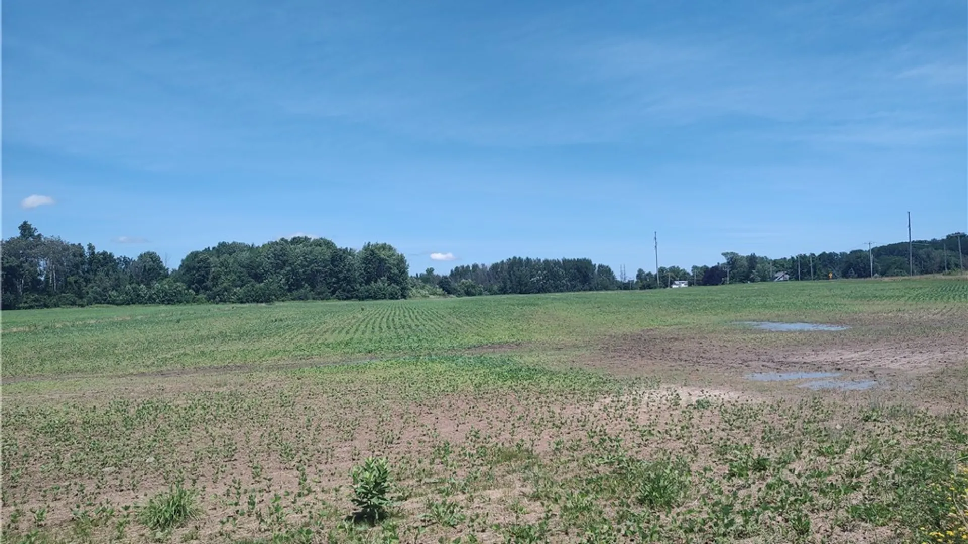 Property at Route 5 & 20, Seneca Falls, NY 13148 10