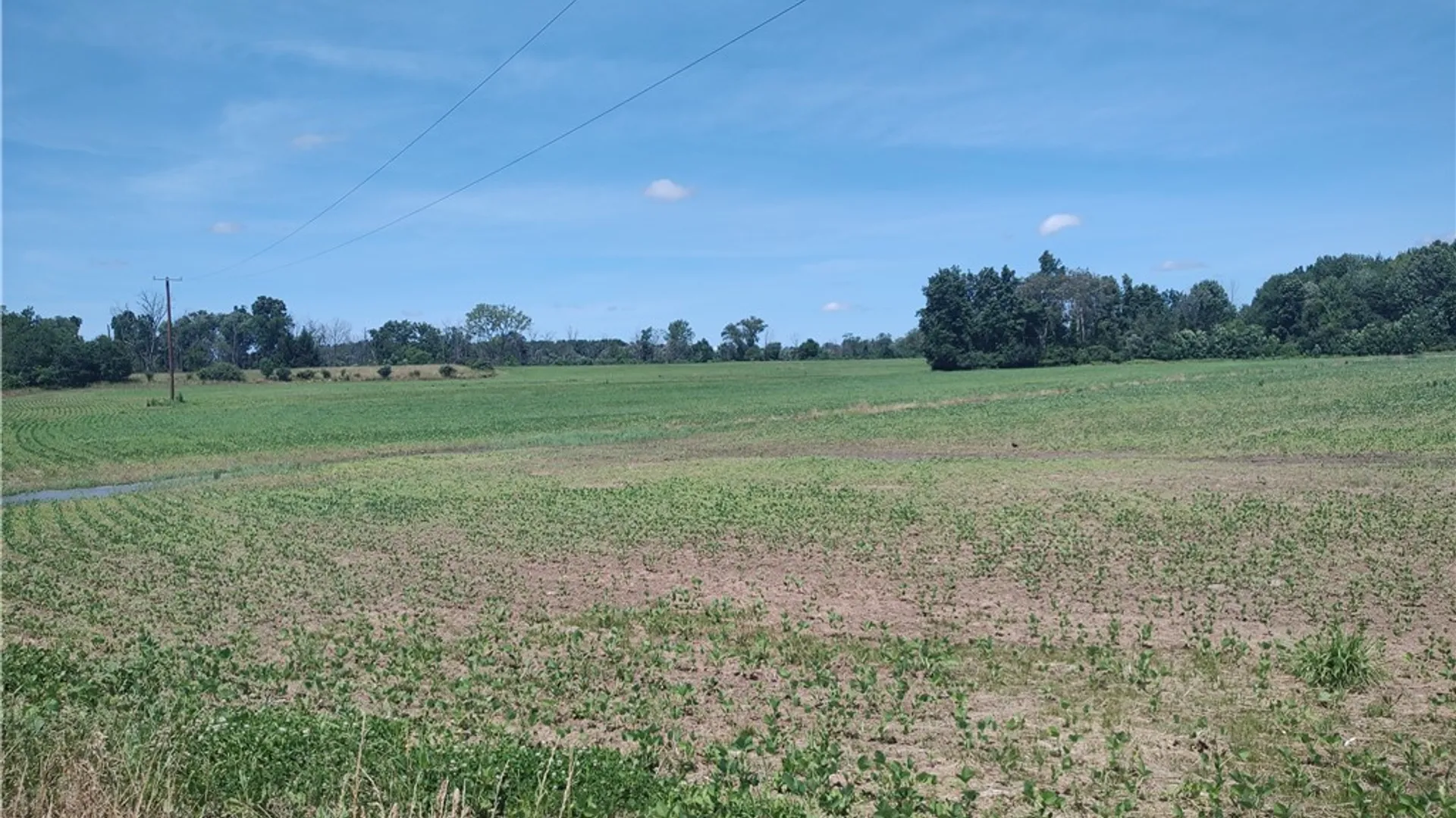 Property at Route 5 & 20, Seneca Falls, NY 13148 11