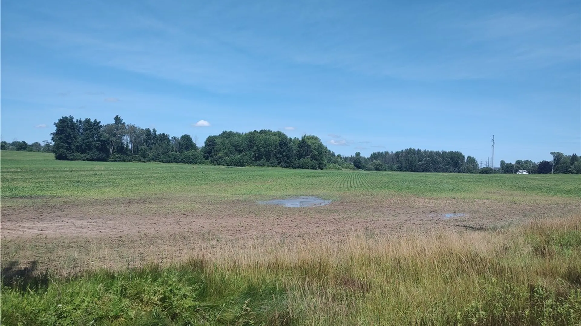 Property at Route 5 & 20, Seneca Falls, NY 13148 13