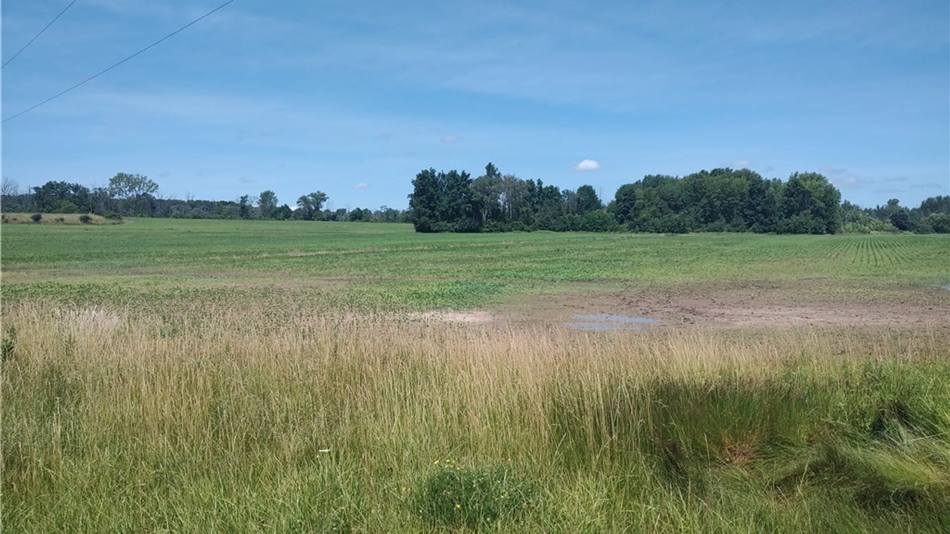 Property at Route 5 & 20, Seneca Falls, NY 13148 14