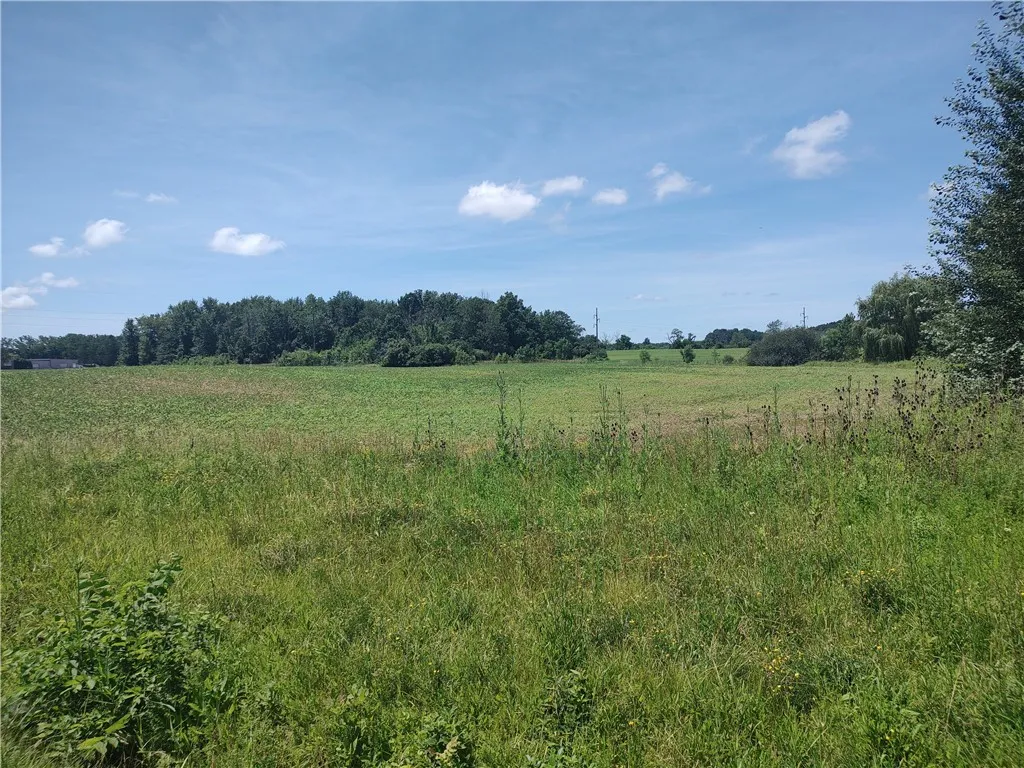 Property at Route 5 & 20, Seneca Falls, NY 13148