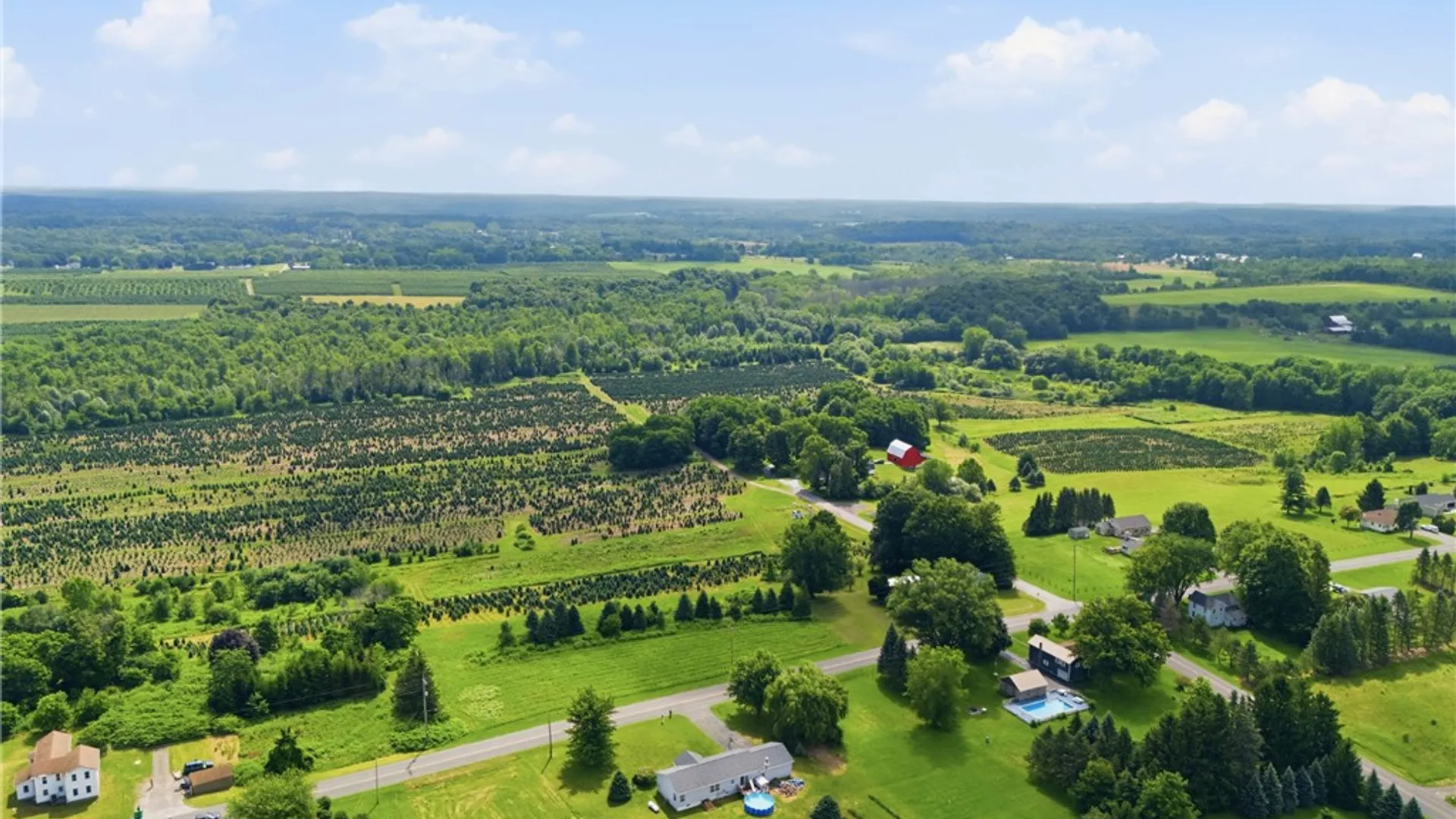Property at 4455 Eddy Ridge Road, Marion, NY 14505 13
