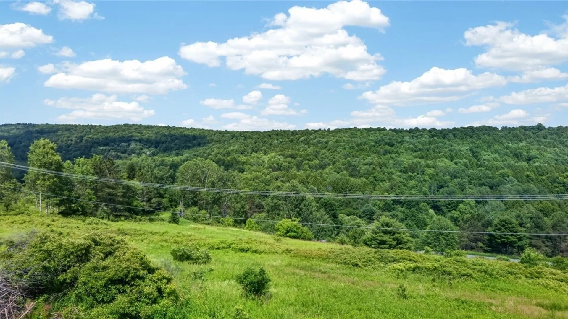 Property at 118 Lookout Drive, Summit, NY 12036 39