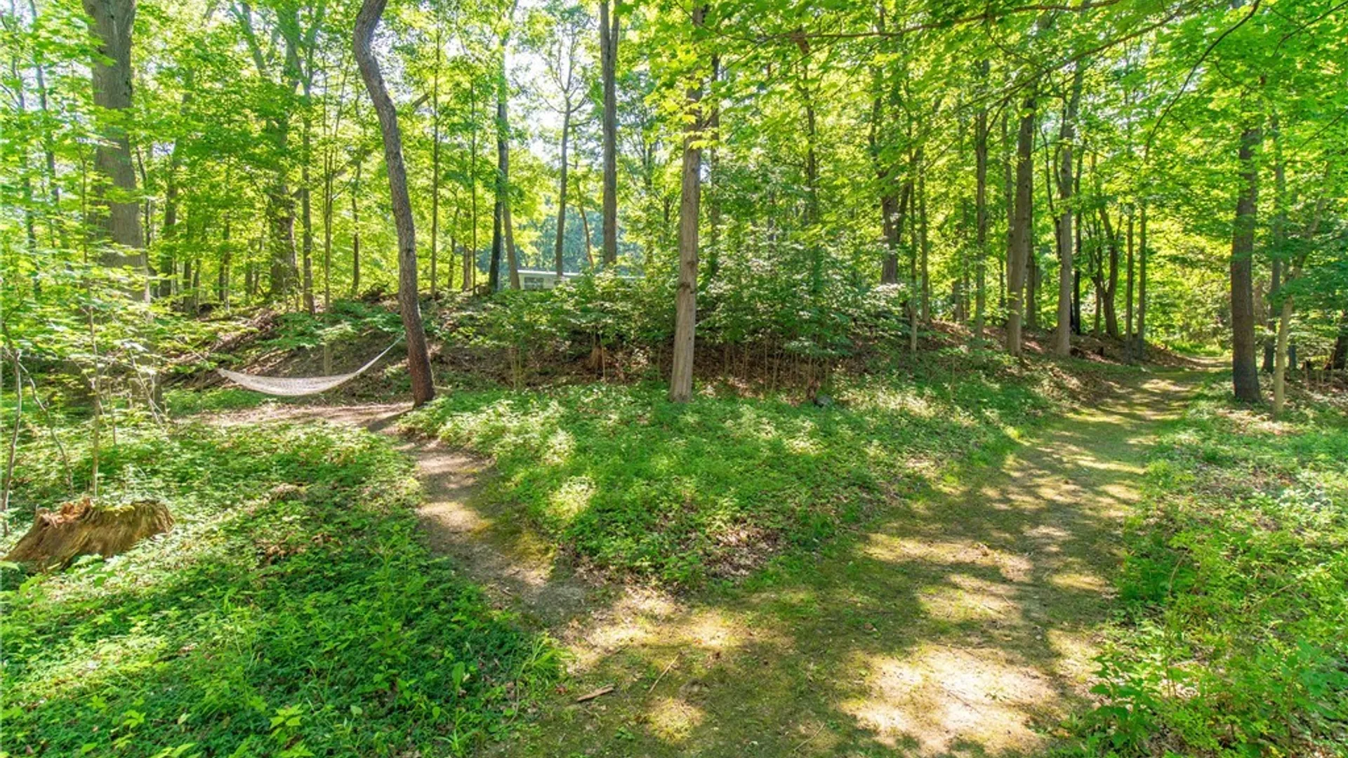 Property at 49 Oak Street, Westfield, NY 14787 42