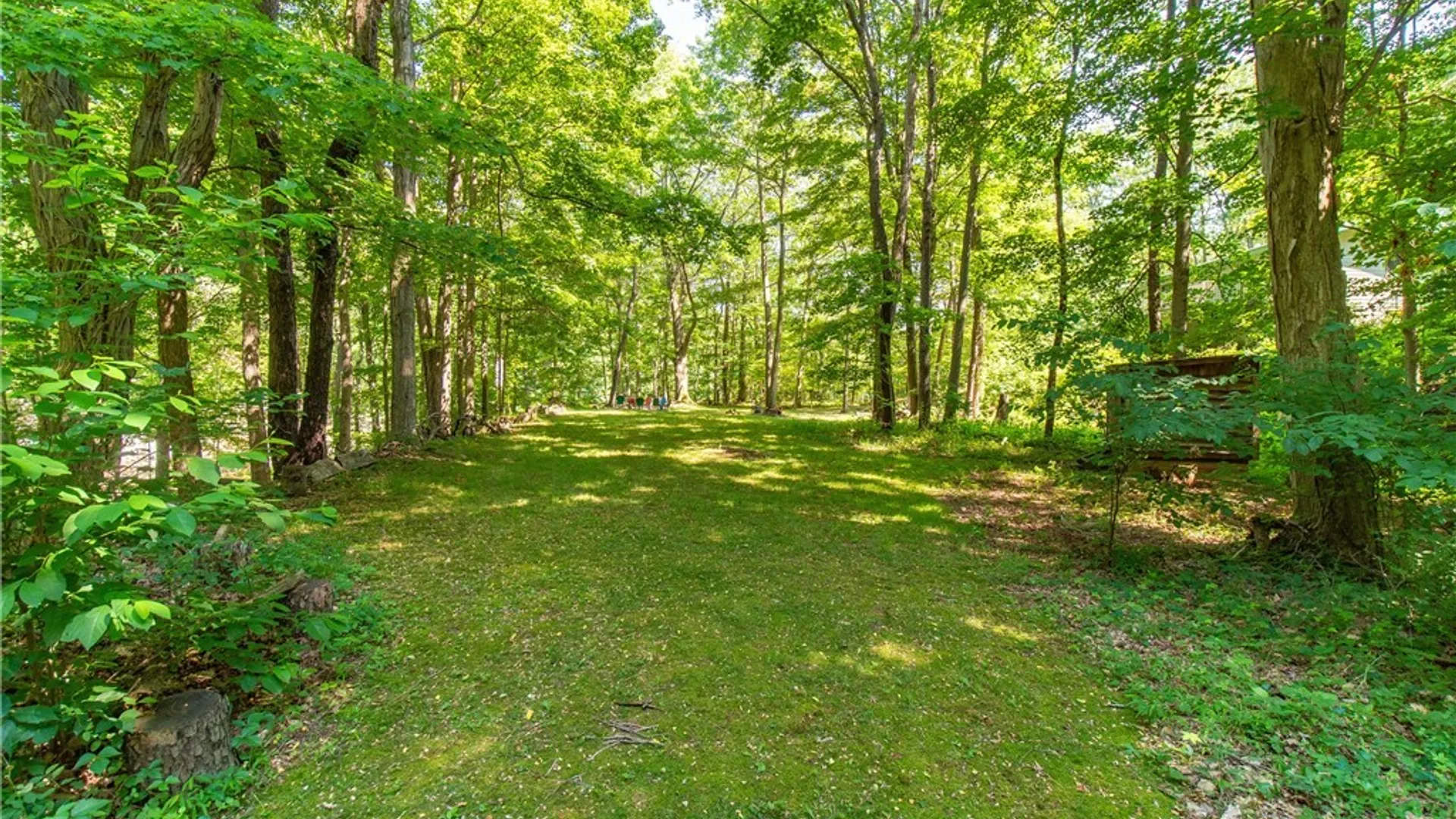 Property at 49 Oak Street, Westfield, NY 14787 39