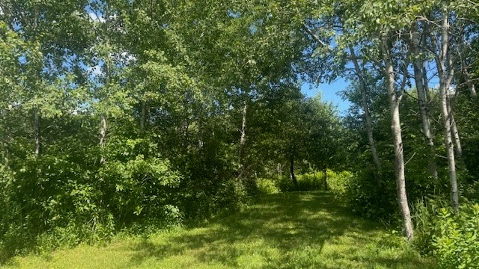 Property at 31 Myslivecek Road, Baldwin, NY 14861 37