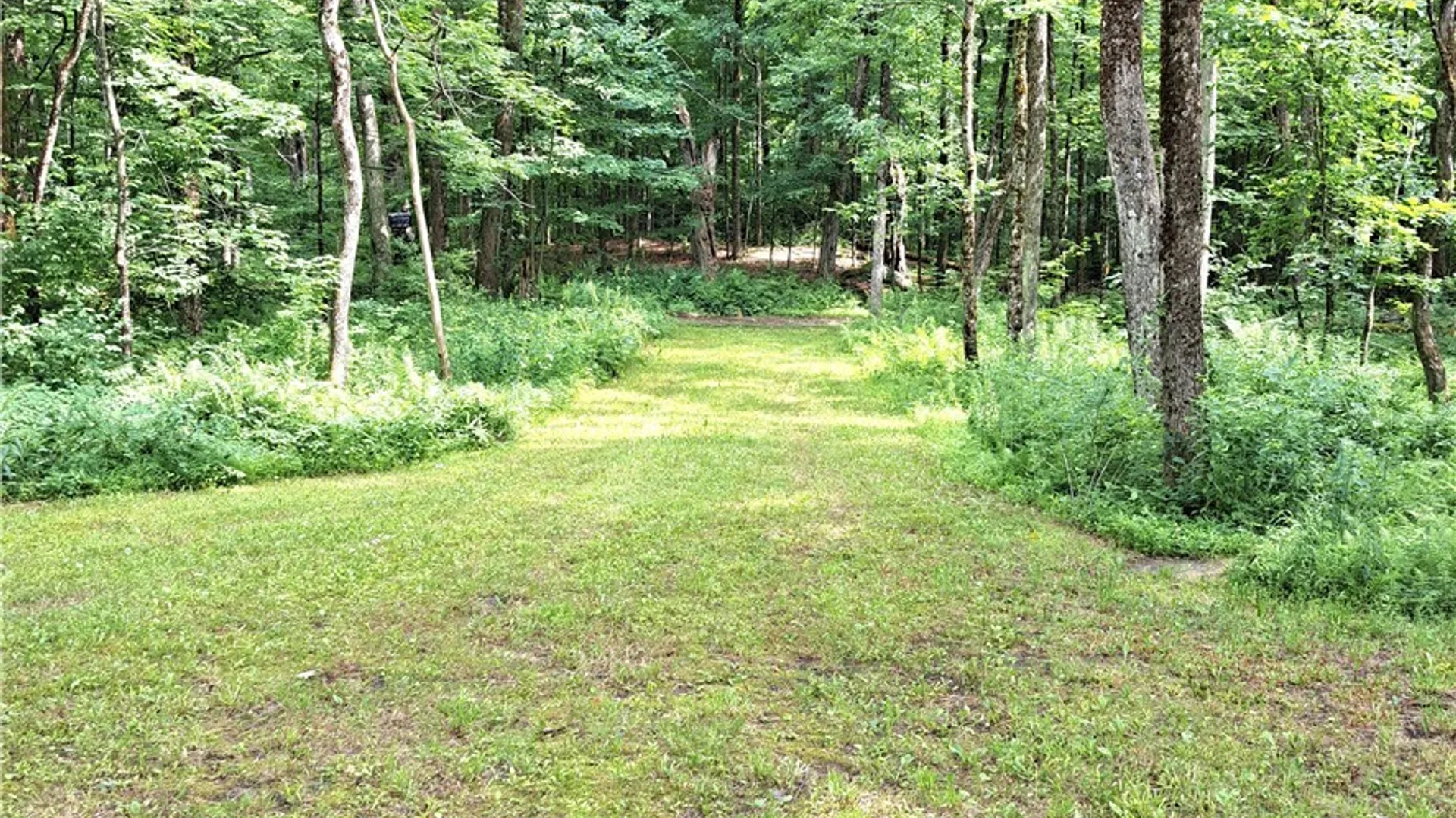 Property at Lot #19 Lee Road, Florence, NY 13316 6