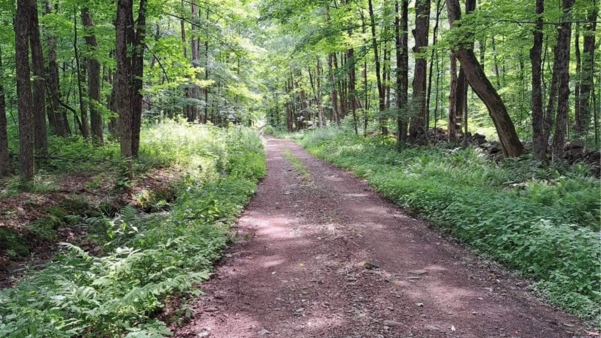 Property at Lot #19 Lee Road, Florence, NY 13316 9