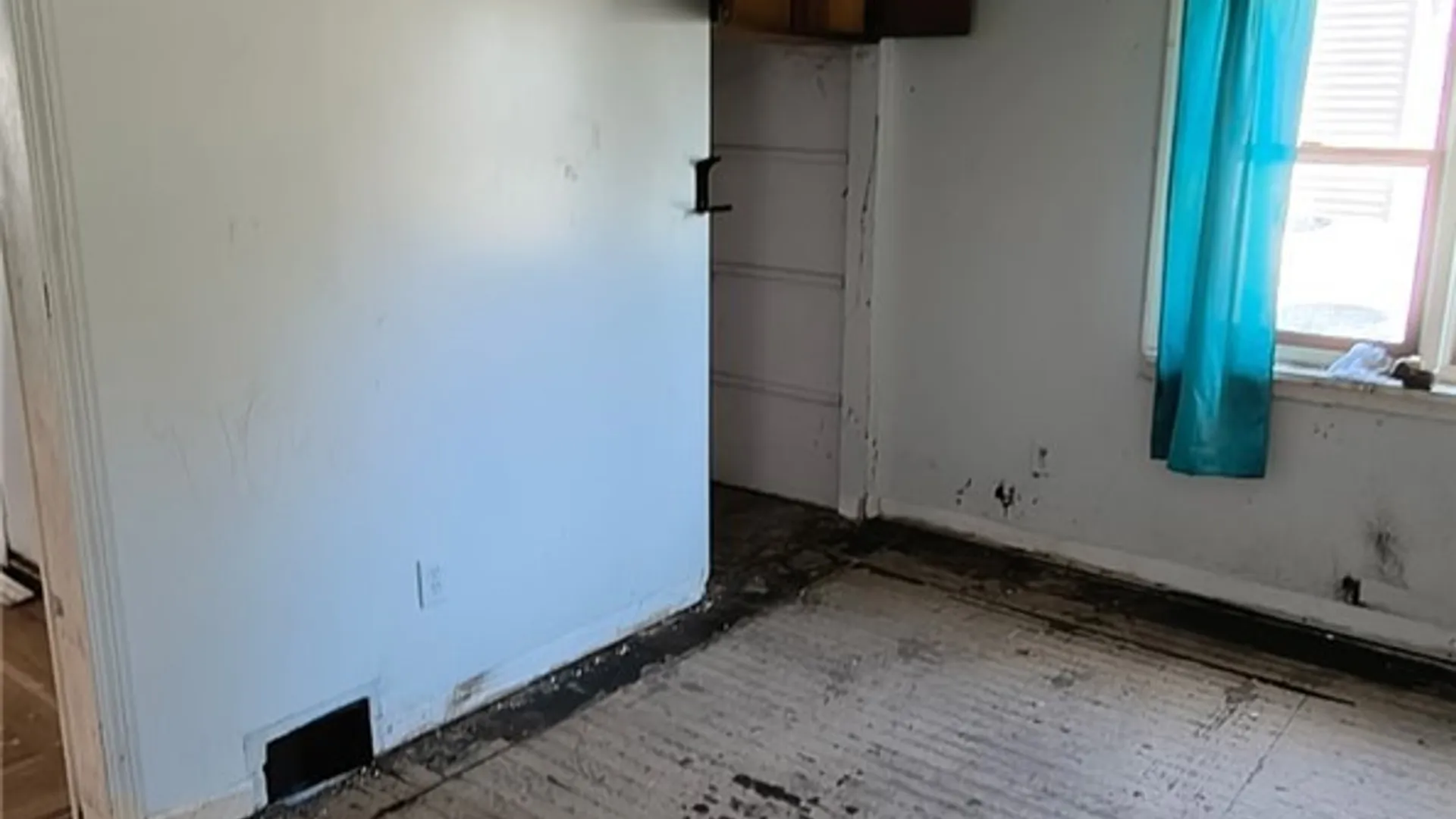 Property at 135 Schiller St, Buffalo, NY 14206 12