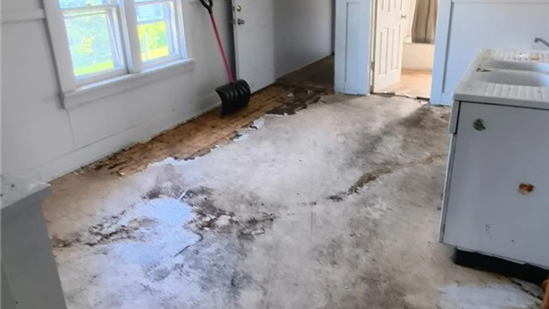 Property at 135 Schiller St, Buffalo, NY 14206 20