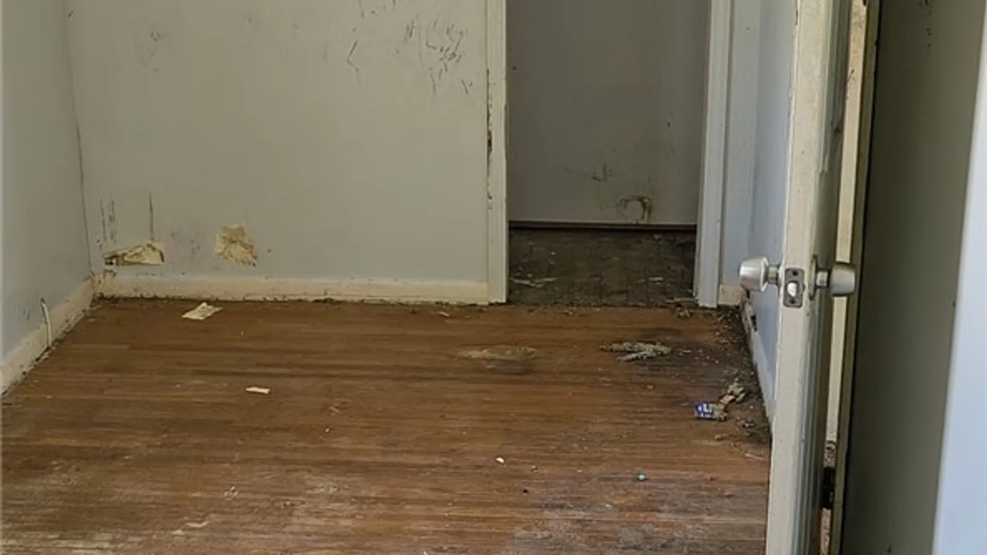 Property at 135 Schiller St, Buffalo, NY 14206 6