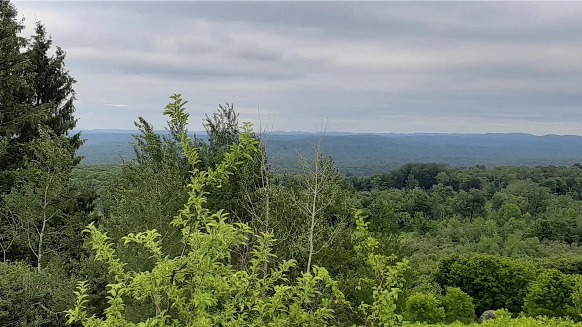 Property at 271 Snyder Road, Norway, NY 13416 2