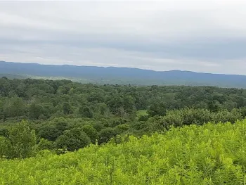 Property at 271 Snyder Road, Norway, NY 13416