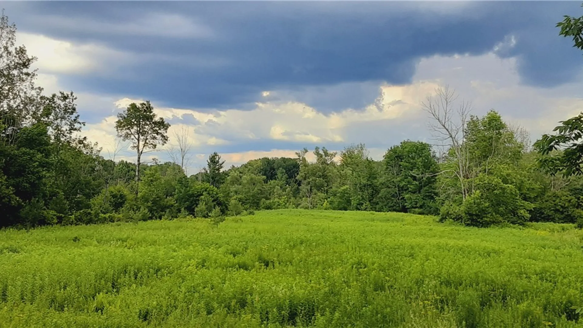 Property at 271 Snyder Road, Norway, NY 13416 3