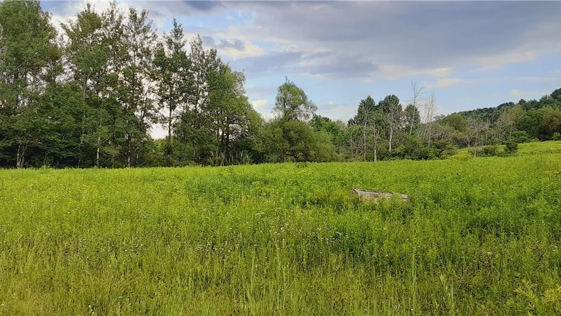 Property at 271 Snyder Road, Norway, NY 13416 4