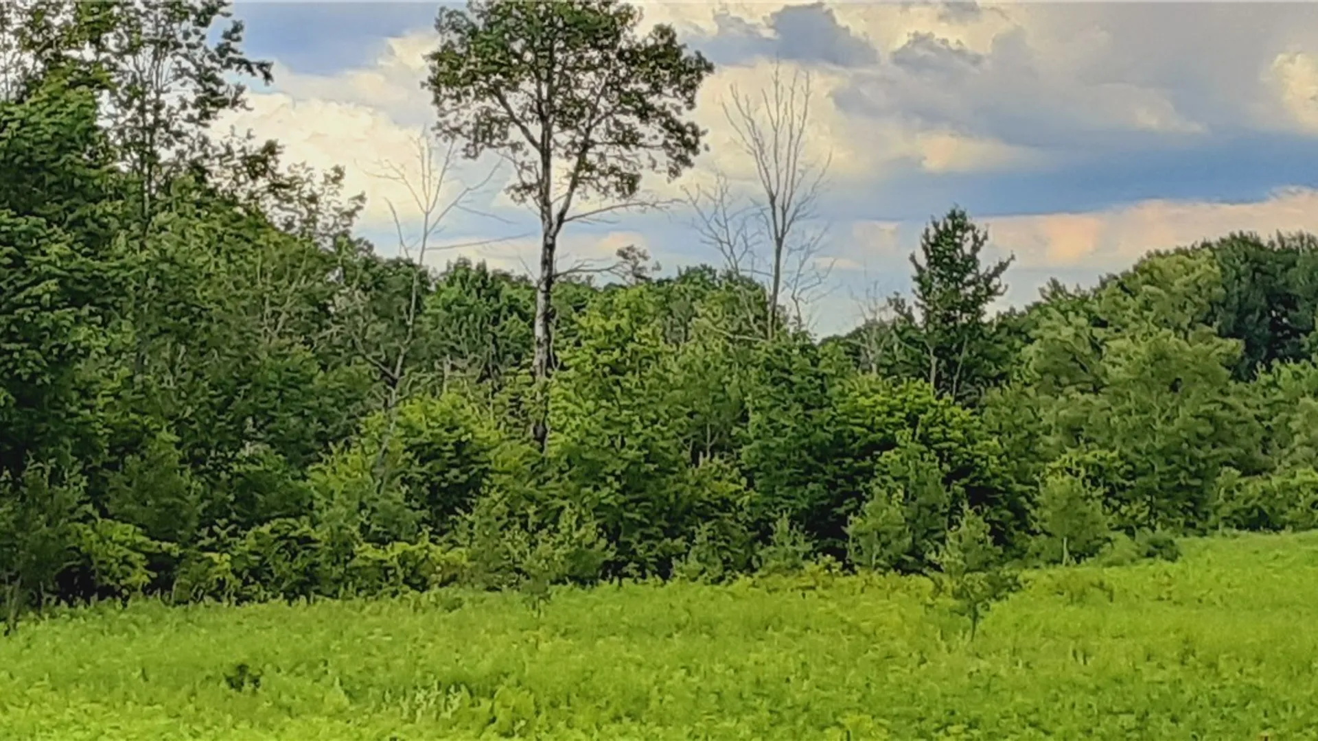 Property at 271 Snyder Road, Norway, NY 13416 26