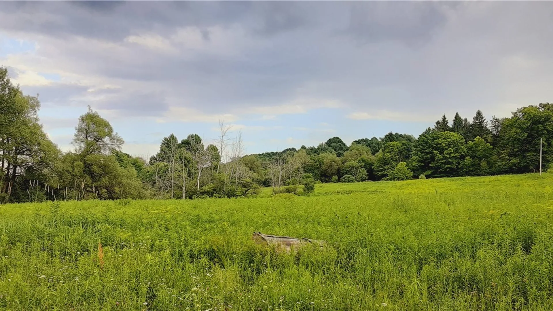 Property at 271 Snyder Road, Norway, NY 13416 7
