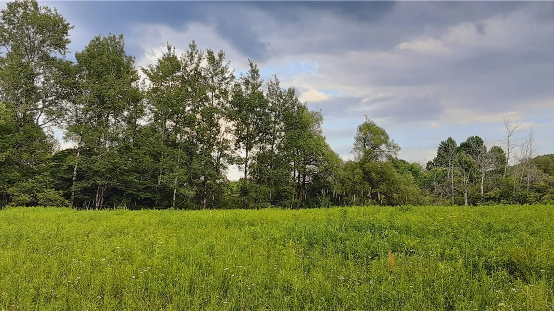 Property at 271 Snyder Road, Norway, NY 13416 8
