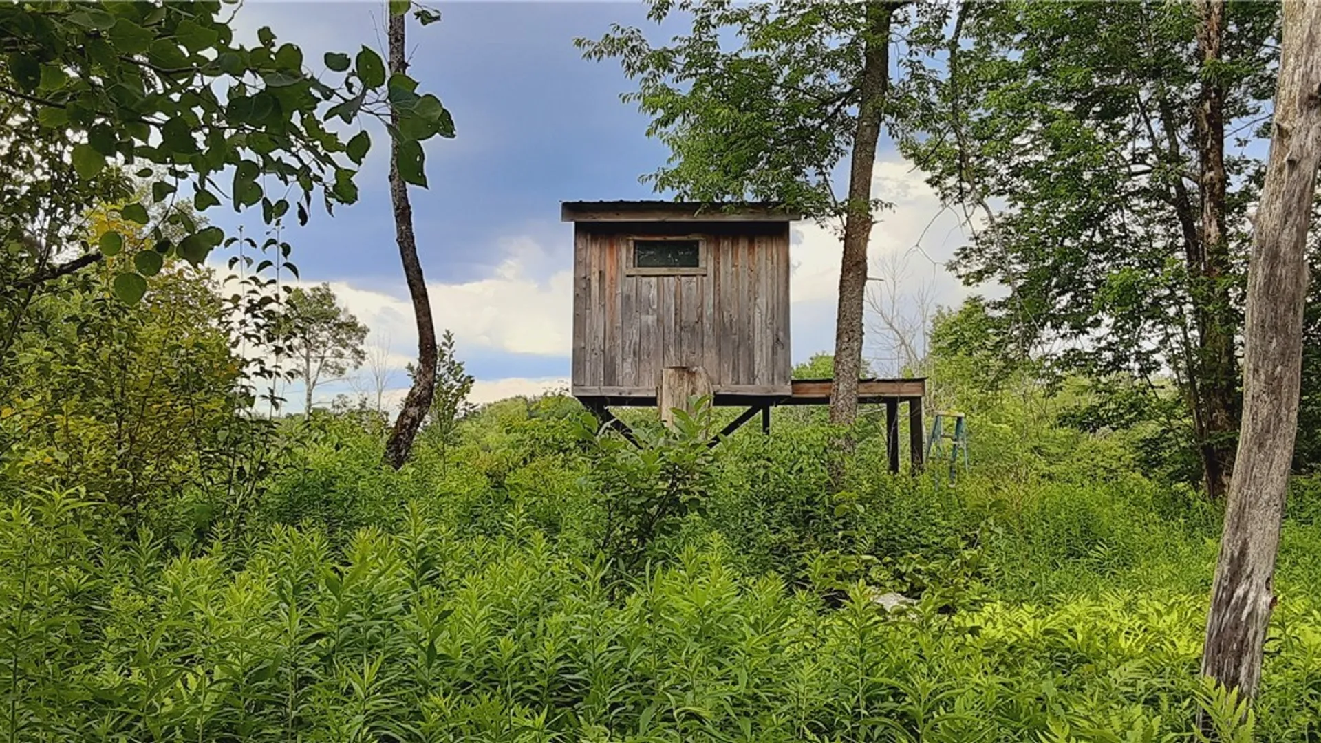 Property at 271 Snyder Road, Norway, NY 13416 10