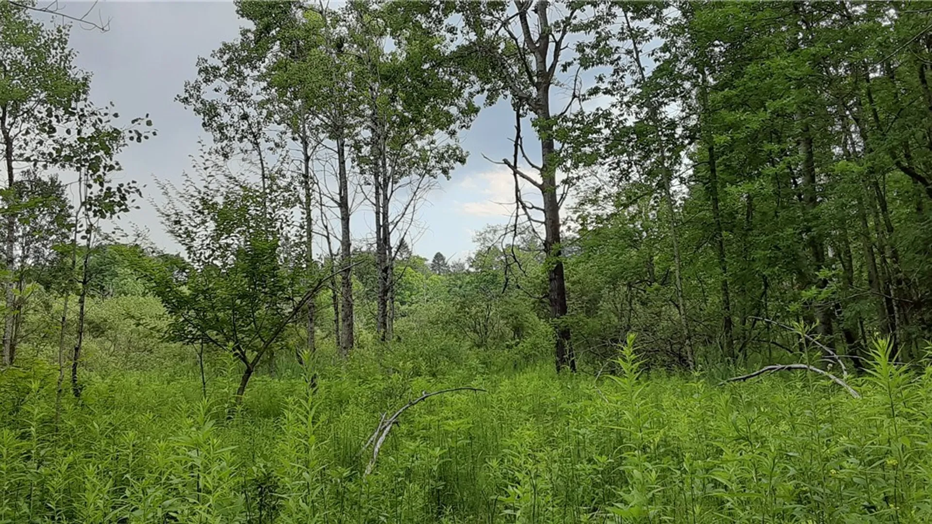 Property at 271 Snyder Road, Norway, NY 13416 14