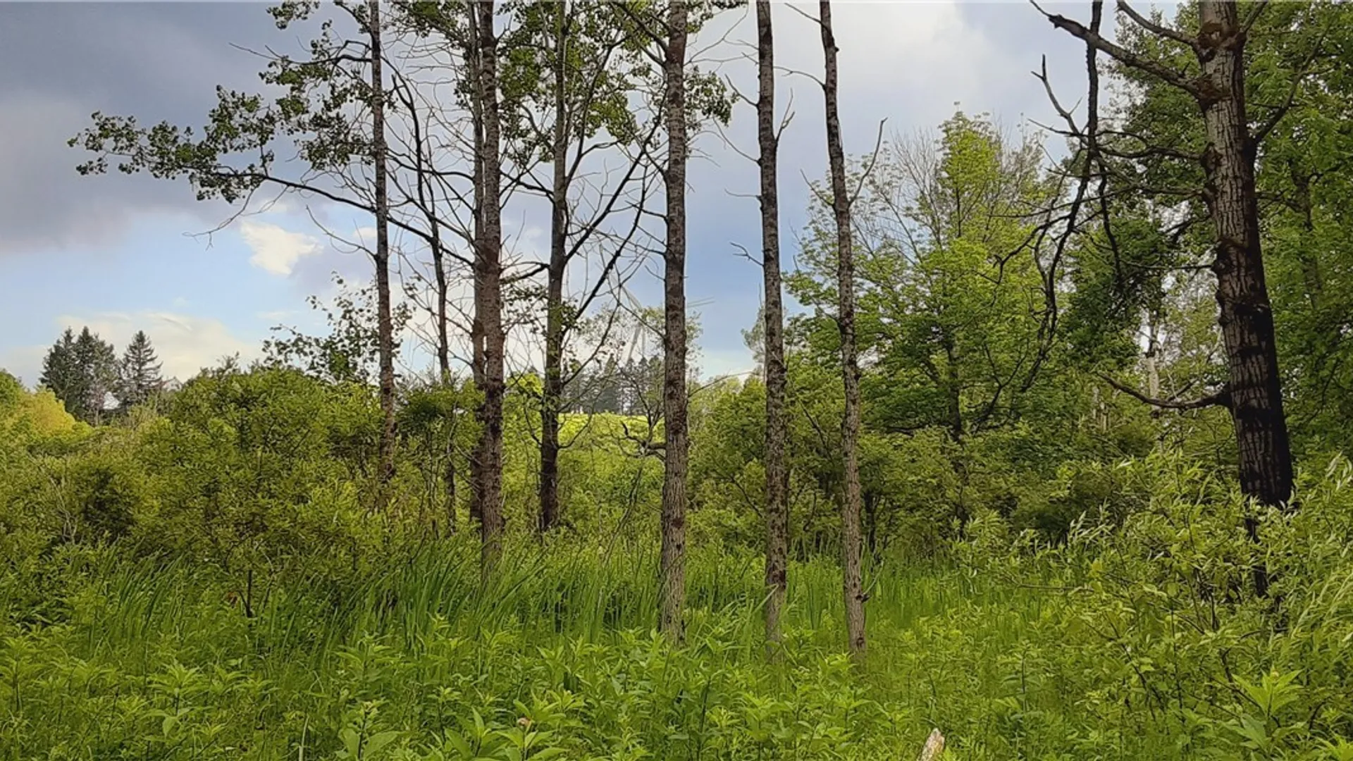 Property at 271 Snyder Road, Norway, NY 13416 16